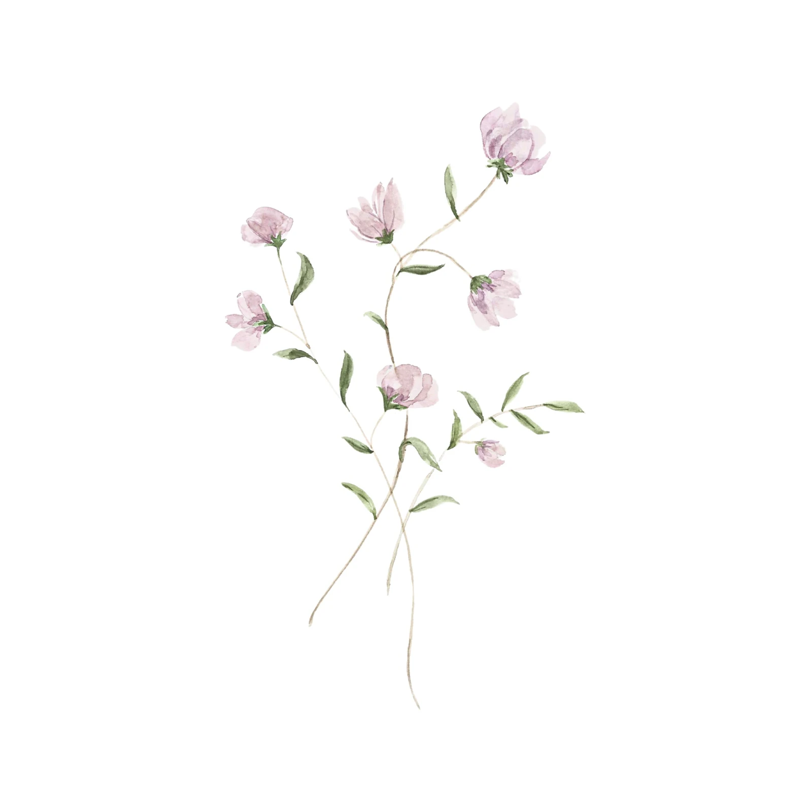 Delicate Pink Floral Watercolor Wall Art