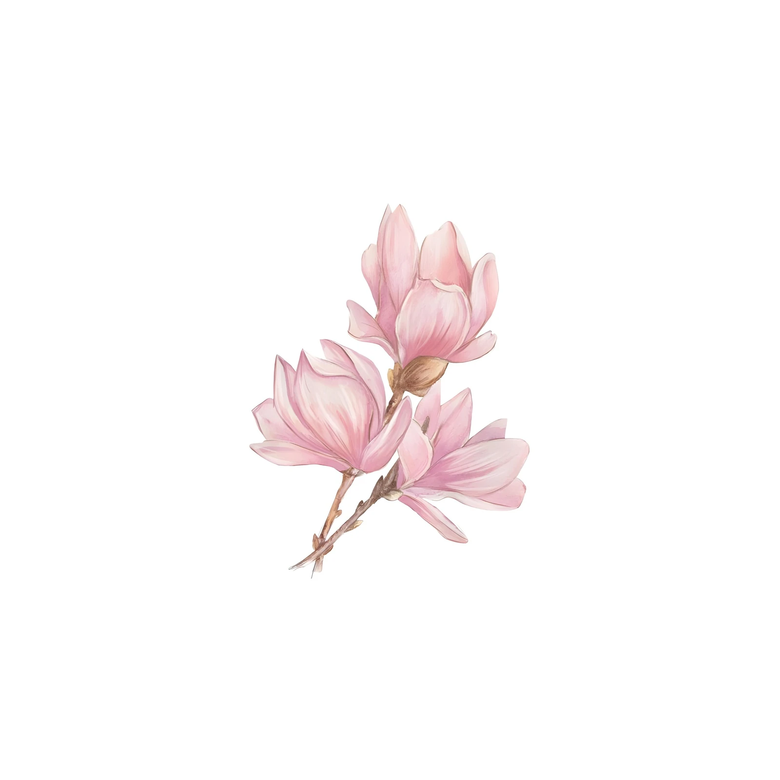 Blush Magnolia Floral Wall Art Wall Art