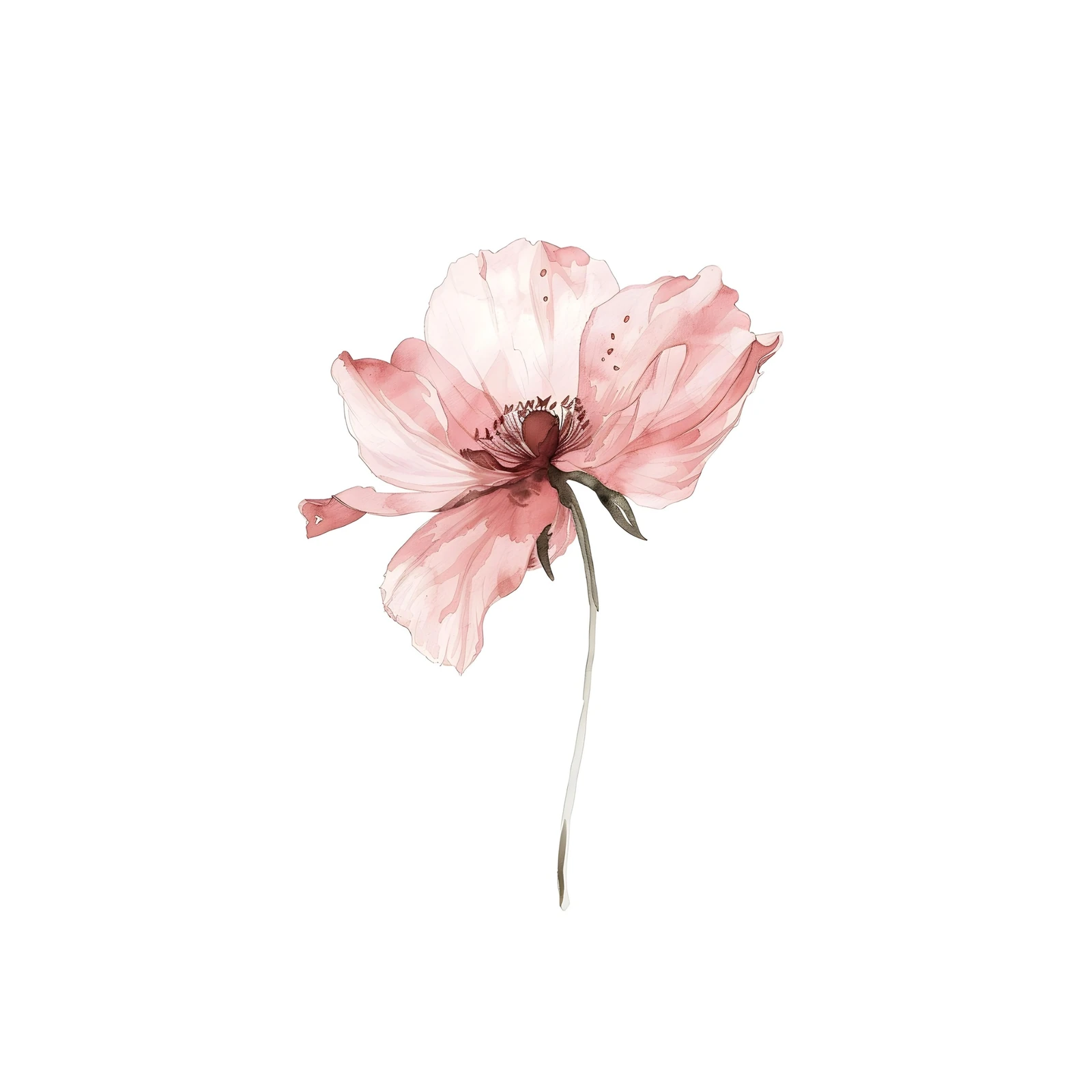 Elegant Pink Poppy Watercolor Wall Art