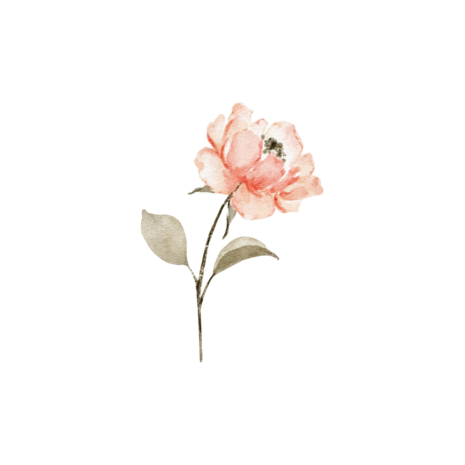 Soft Peach Floral Watercolor Wall Art