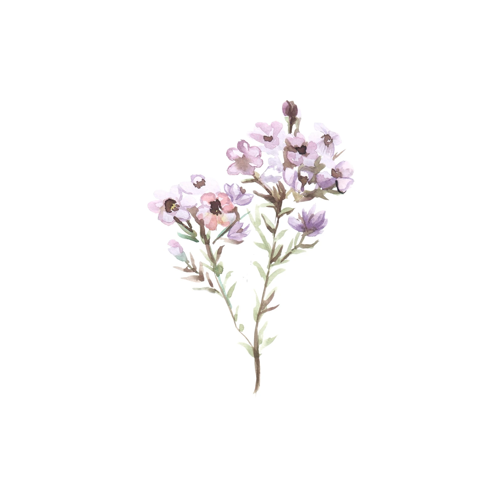 Delicate Floral Watercolor Art Wall Art