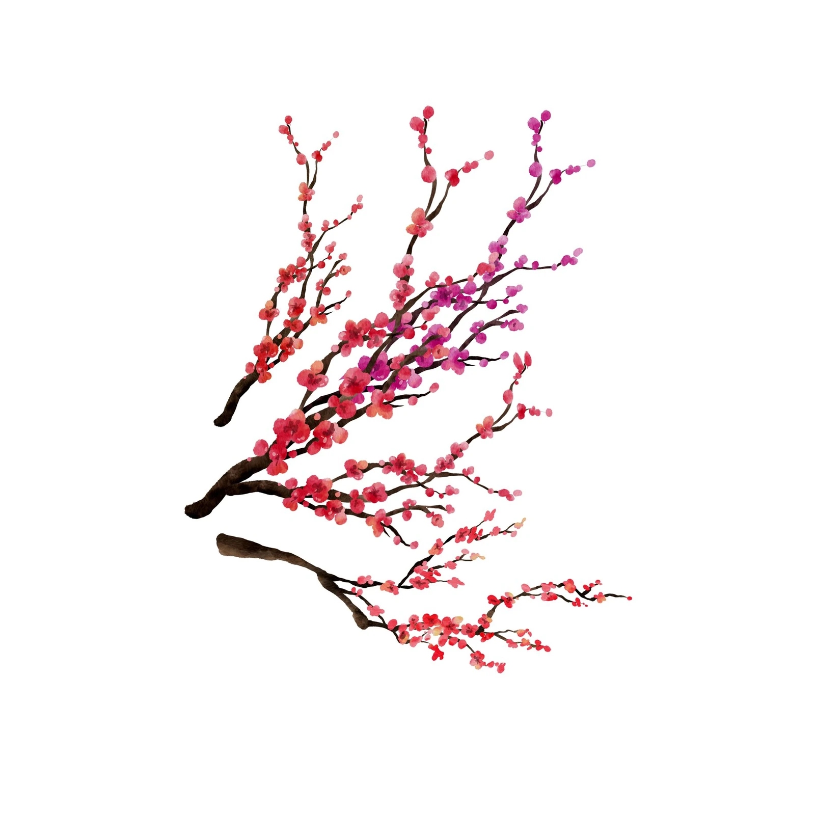 Watercolor Cherry Blossom Wall Art