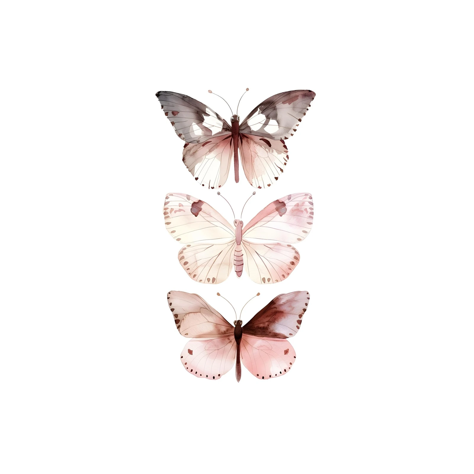 Bohemian Butterfly Trio Watercolor Wall Art