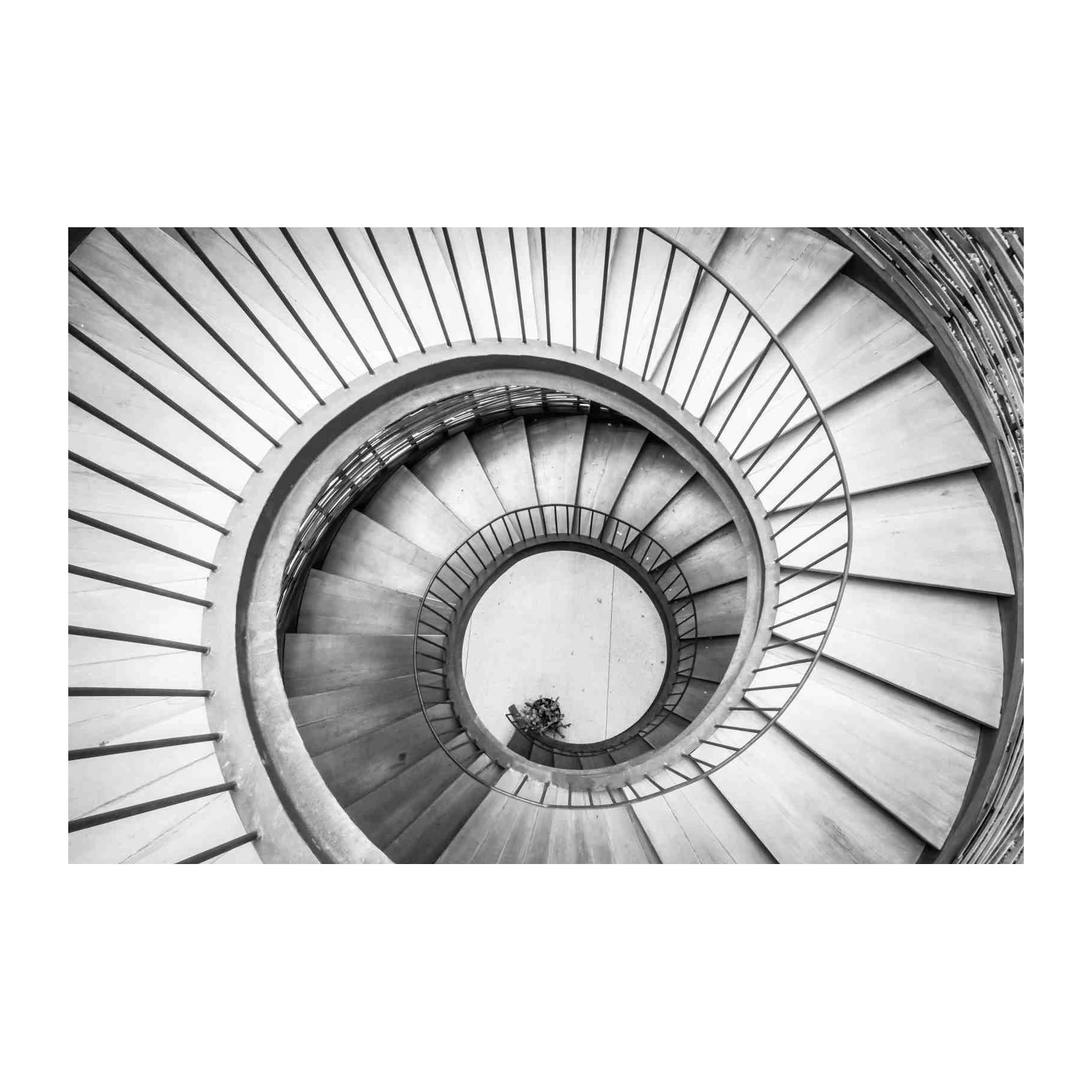 Modern Spiral Staircase Black & White Wall Art