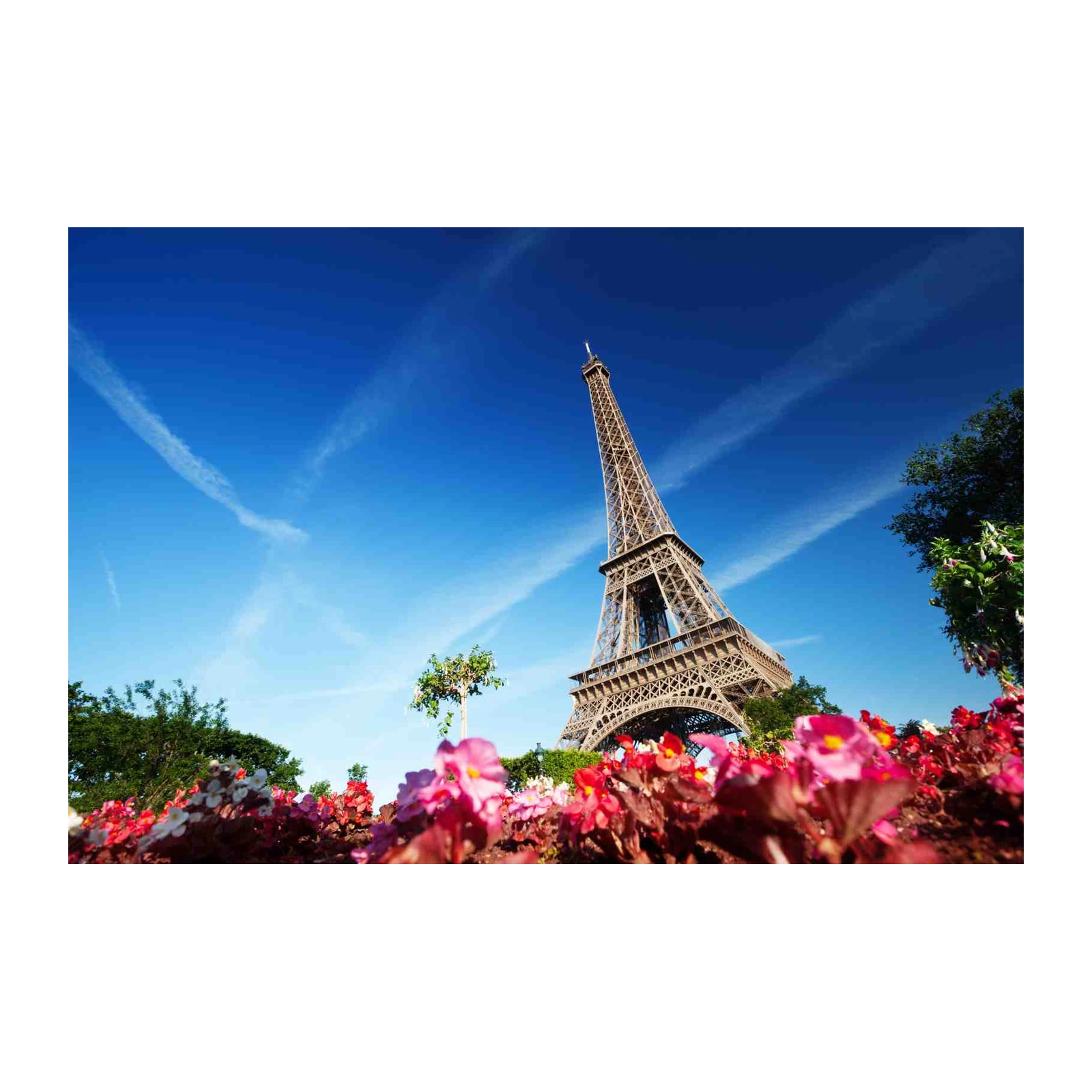Eiffel Tower Paris Floral Dream Wall Art