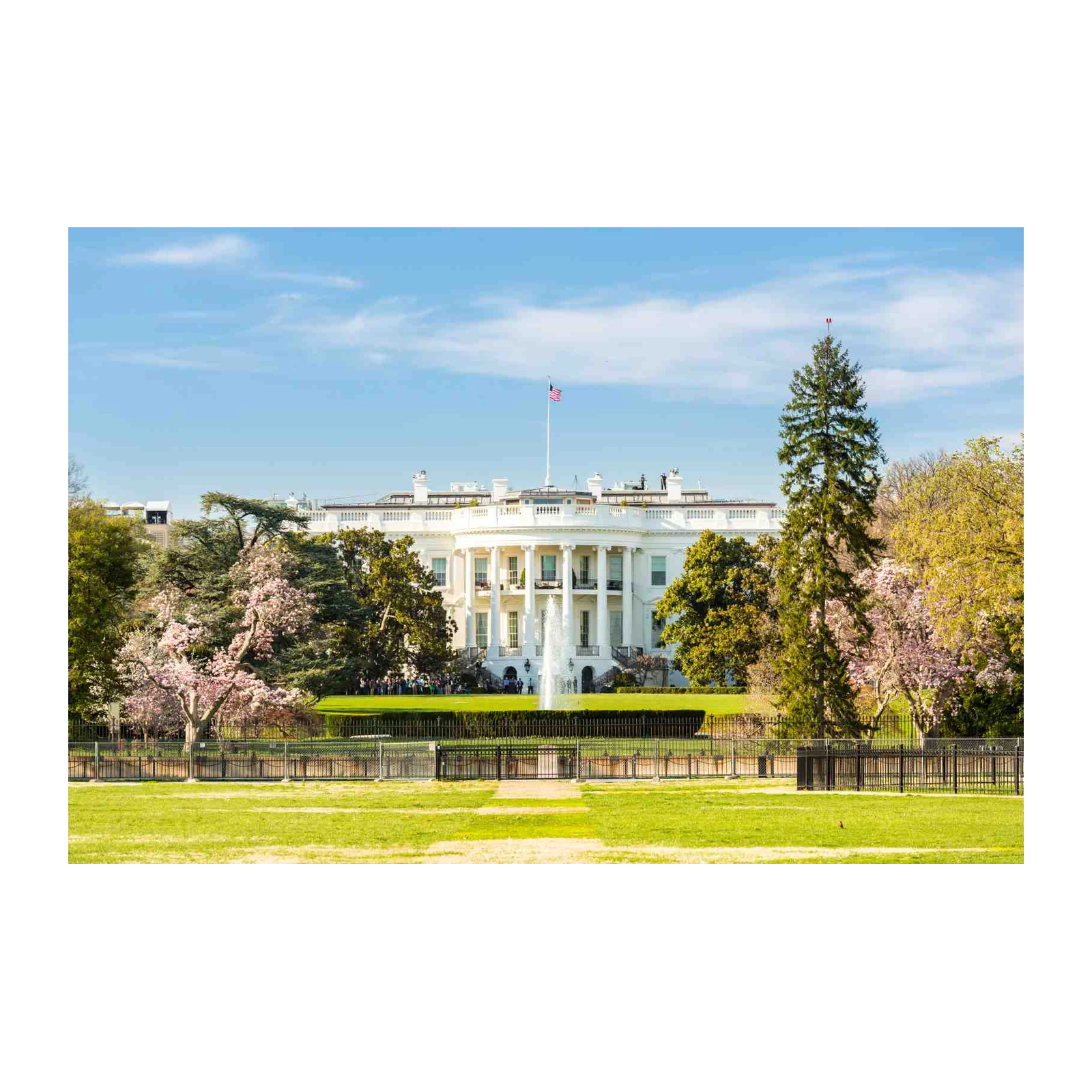 Iconic White House Spring View Wall Art