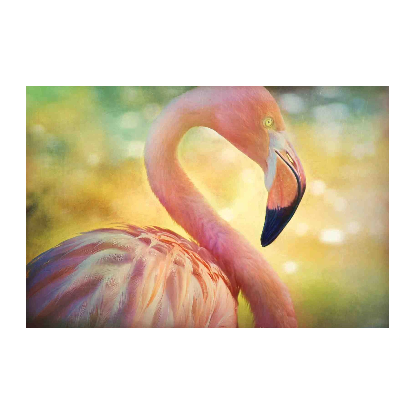 Elegant Pink Flamingo Art Wall Art