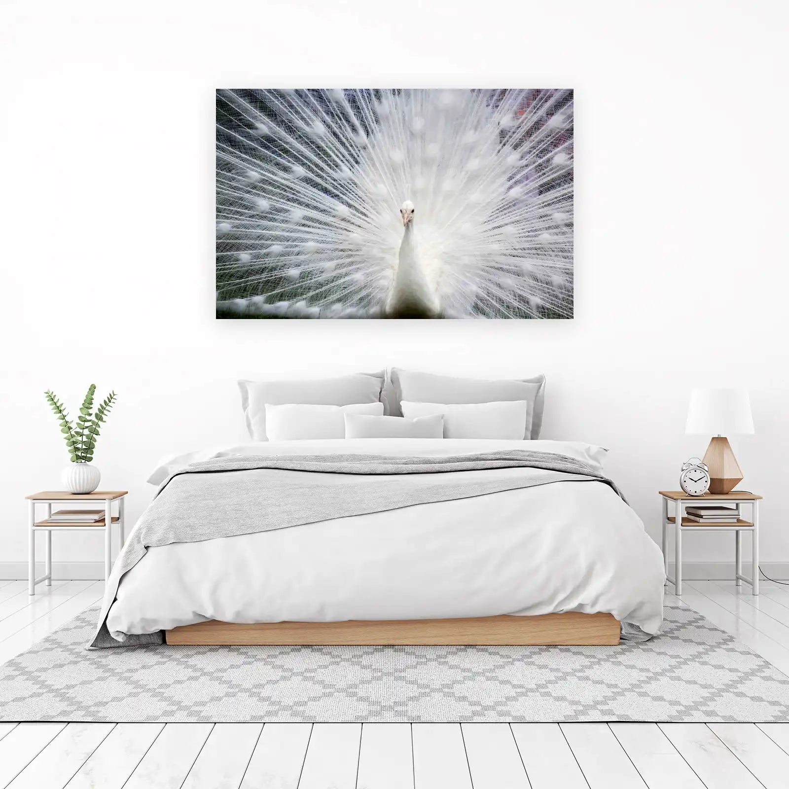 Elegant White Peacock Display Wall Art