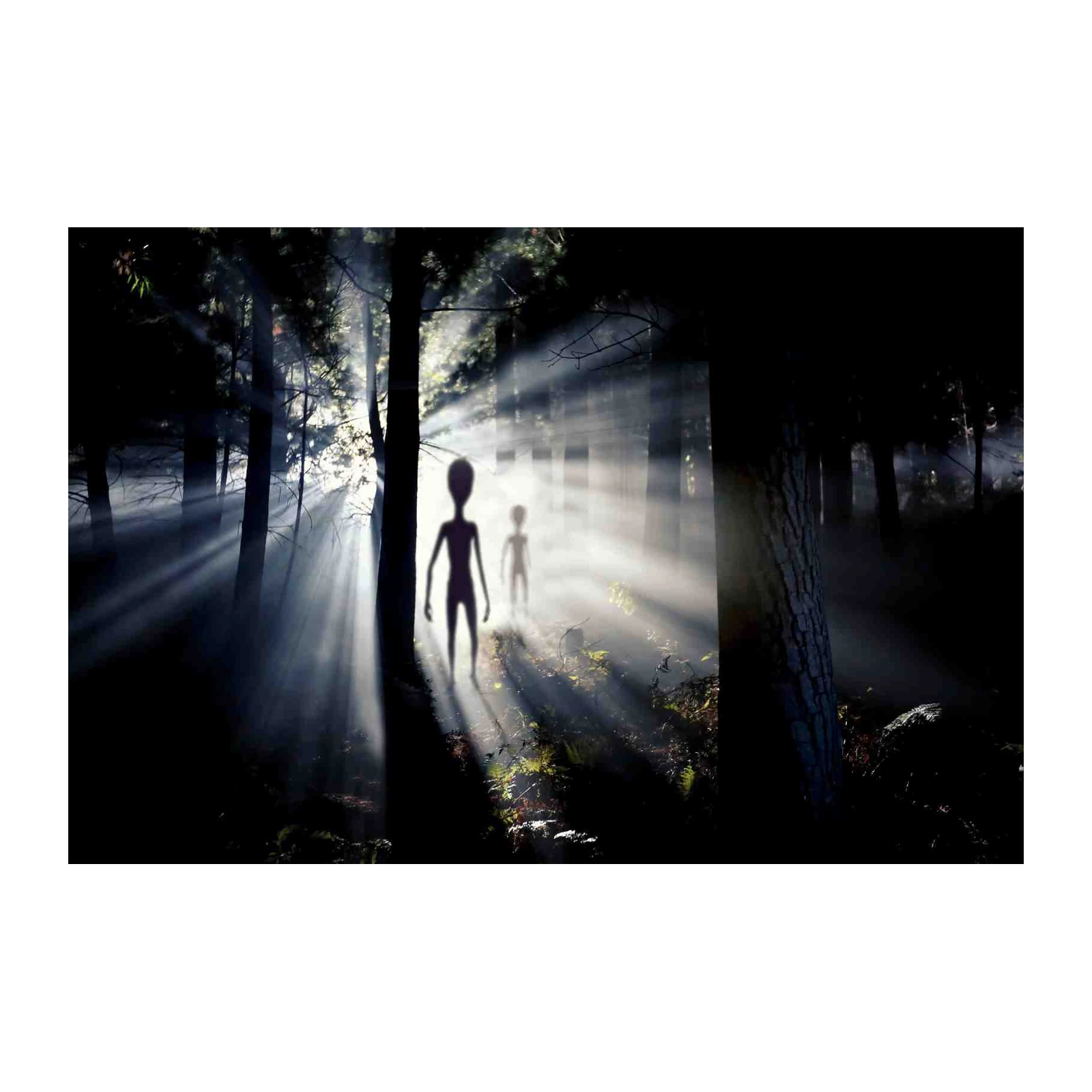 Mysterious Aliens in Forest Light Wall Art