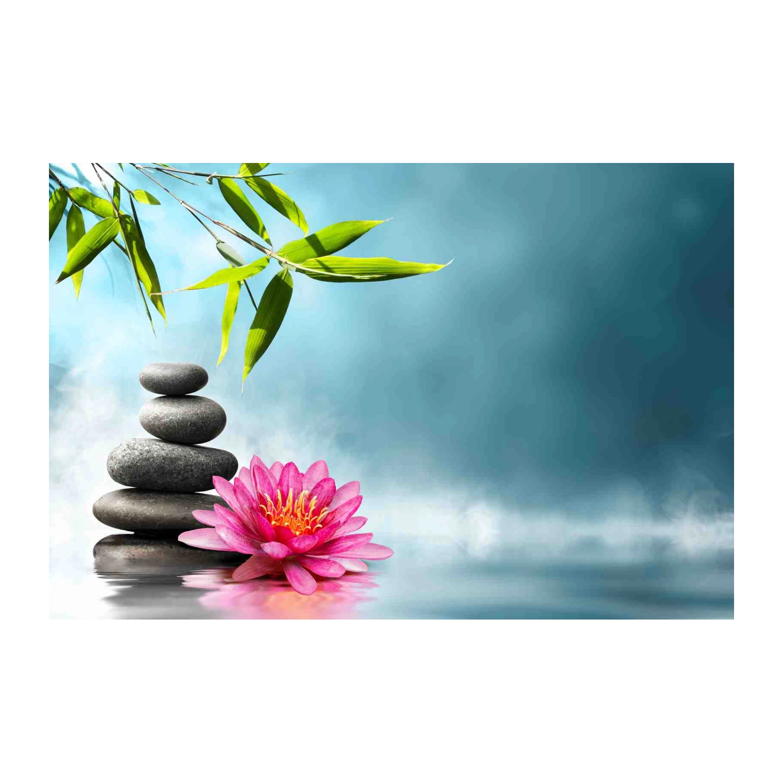 Zen Garden Water Lily & Stones Wall Art