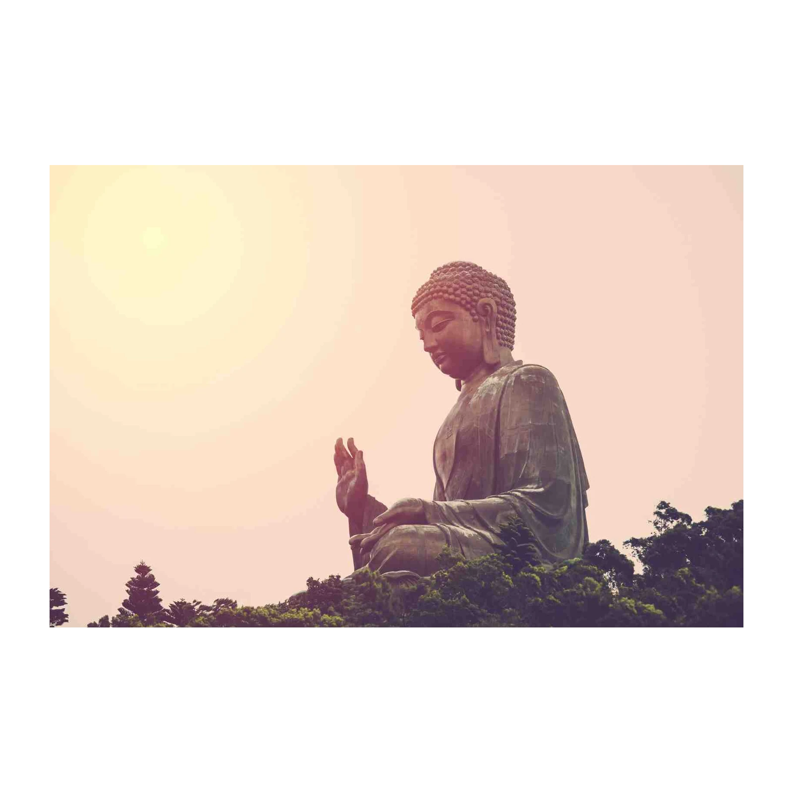 Serene Buddha Meditation Calm Wall Art