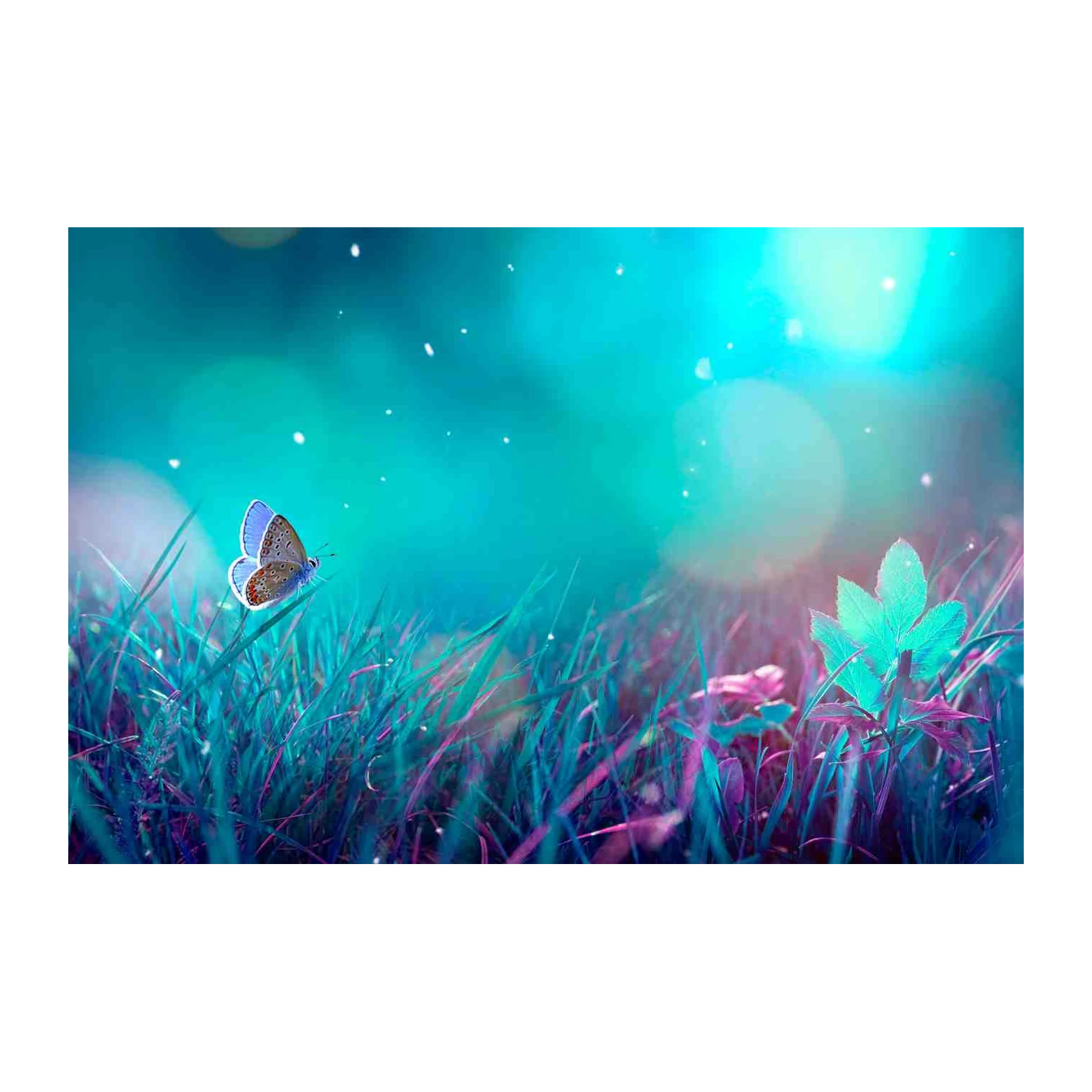 Enchanting Butterfly Meadow Wall Art