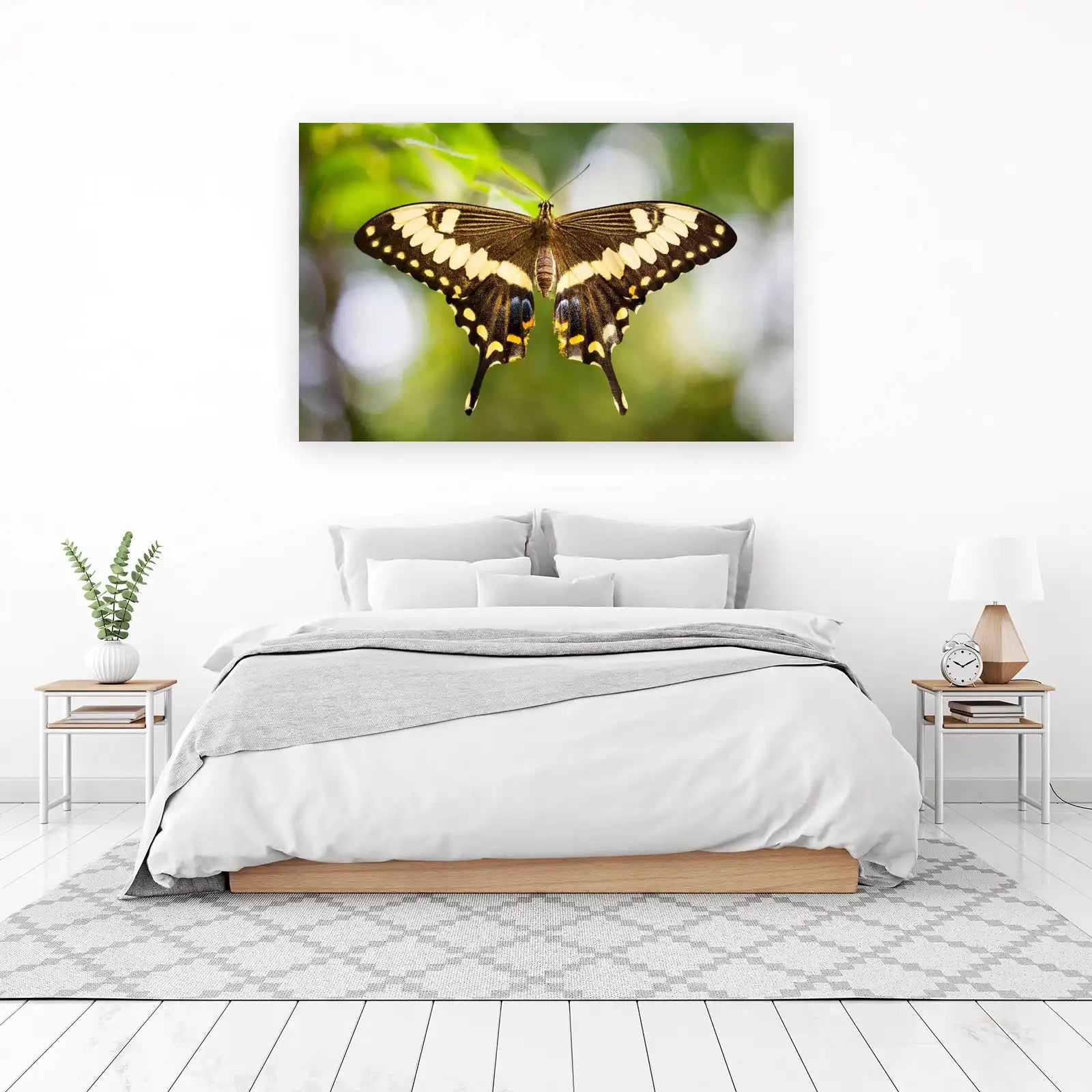 Exotic Butterfly Nature Wall Art