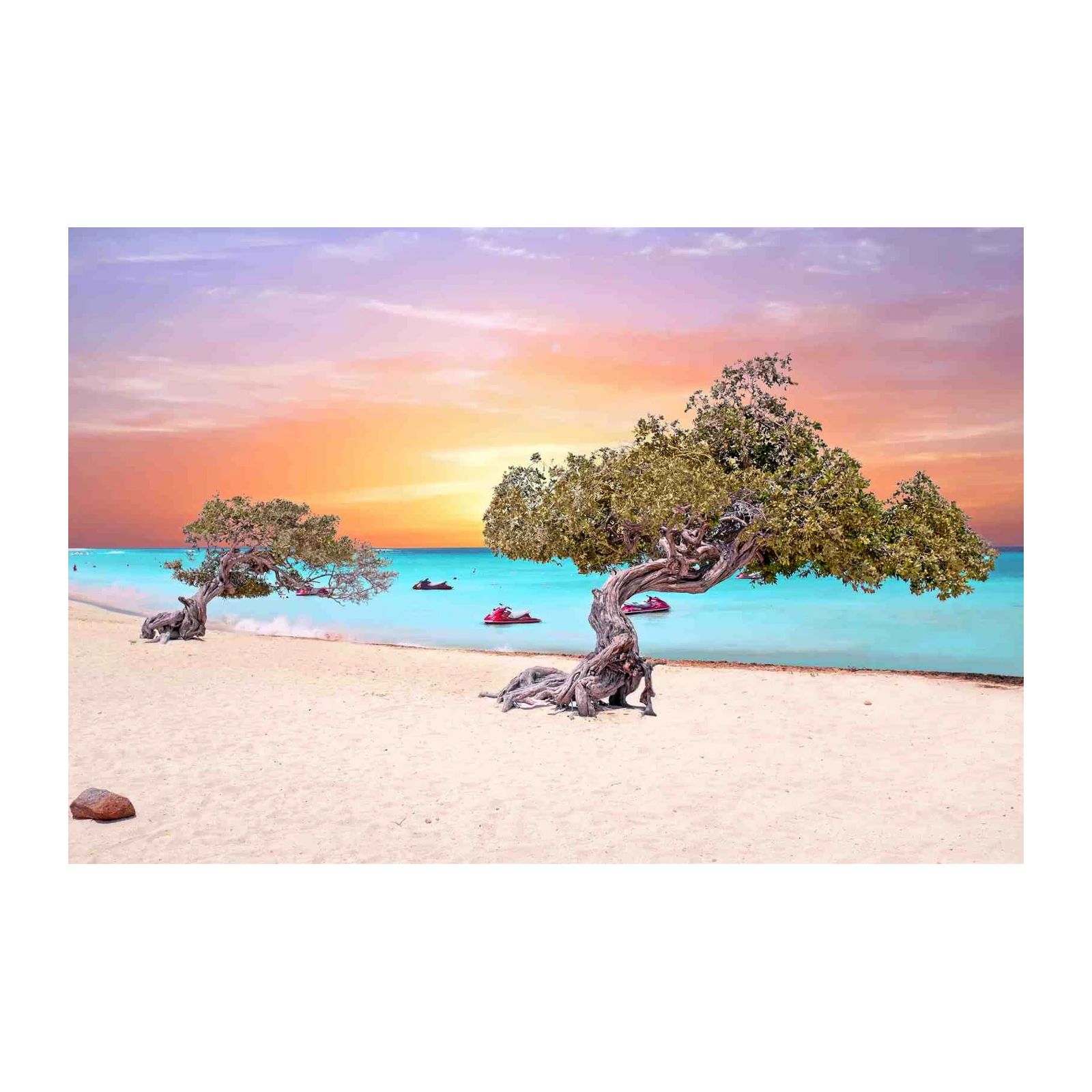Aruba Divi Tree Sunset Beach Wall Art