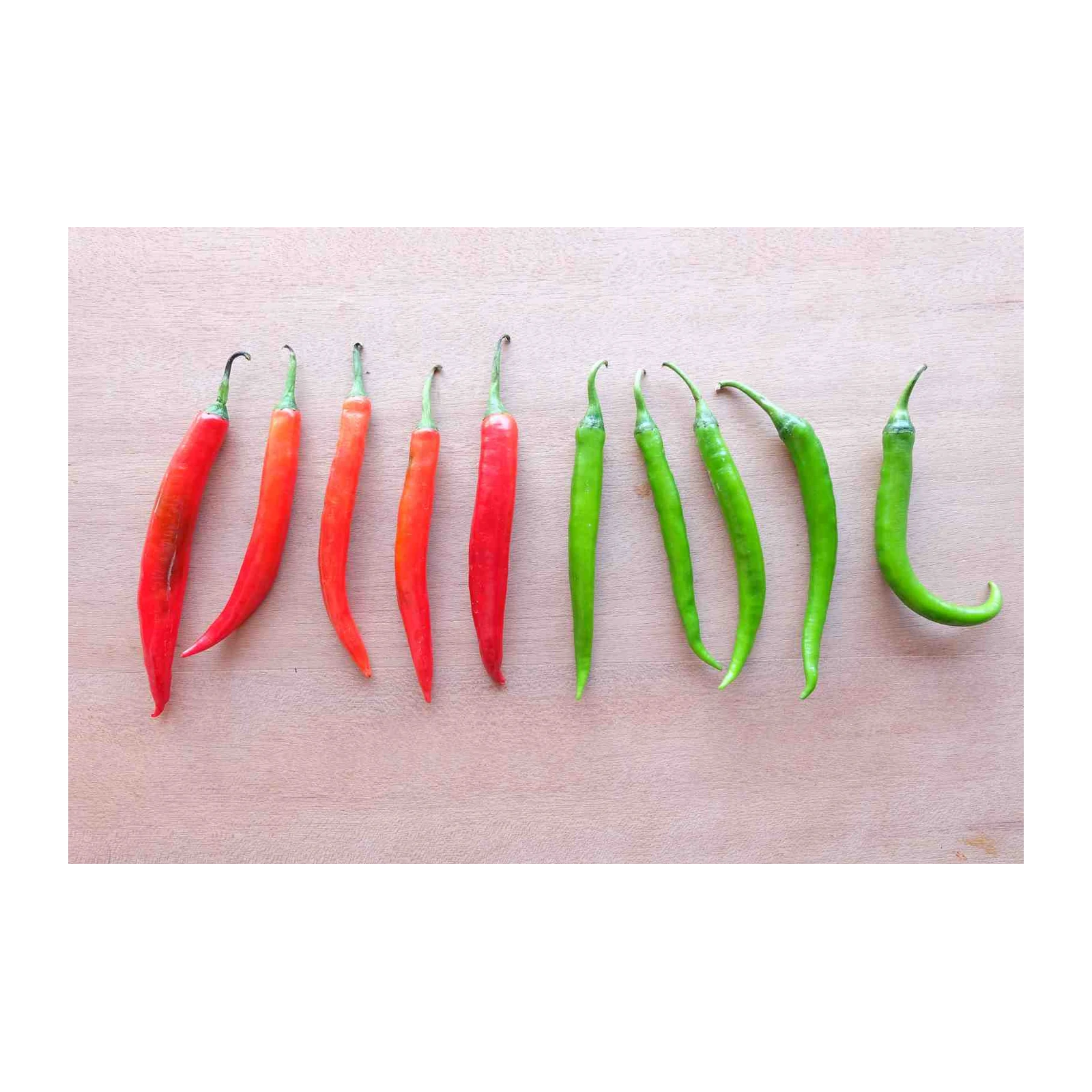 Vibrant Chili Peppers Kitchen Wall Art
