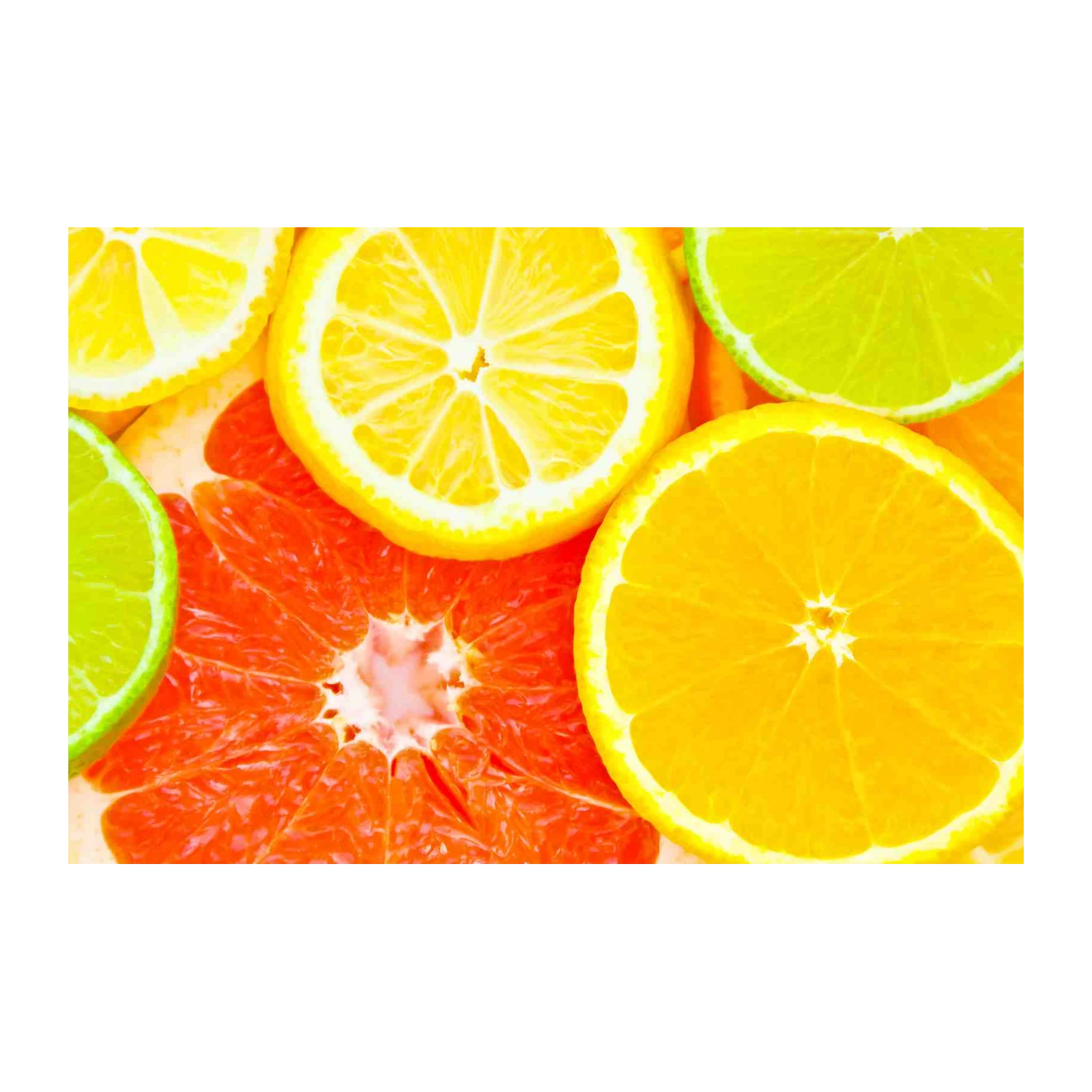 Vibrant Citrus Fruit Slices Wall Art