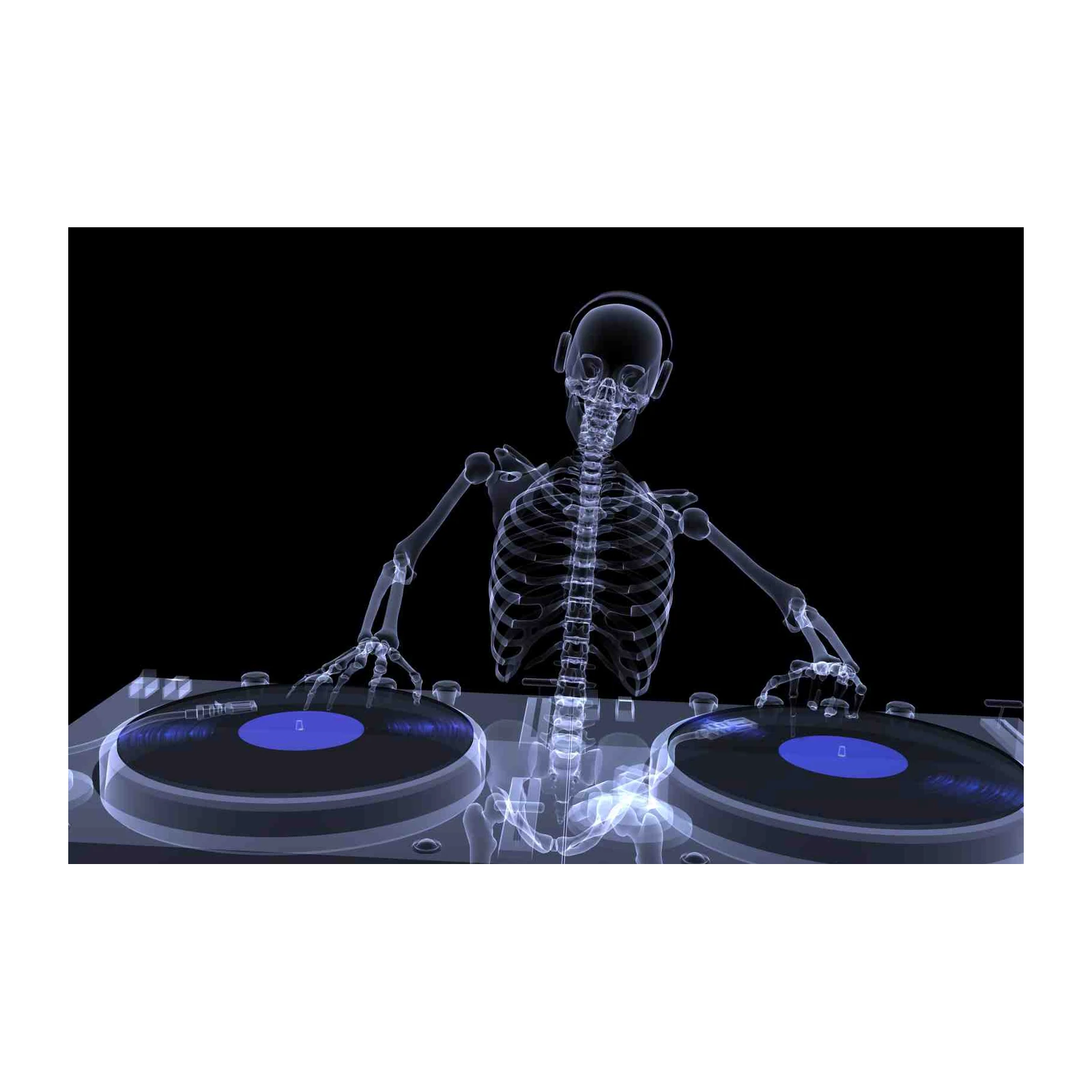 X-Ray DJ Skeleton Headphones Wall Art