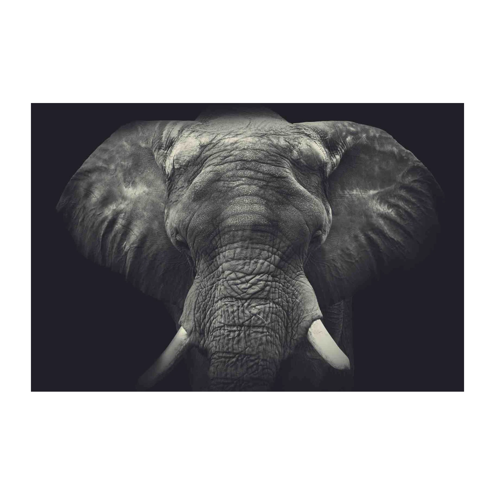 Majestic Elephant Portrait Wall Art