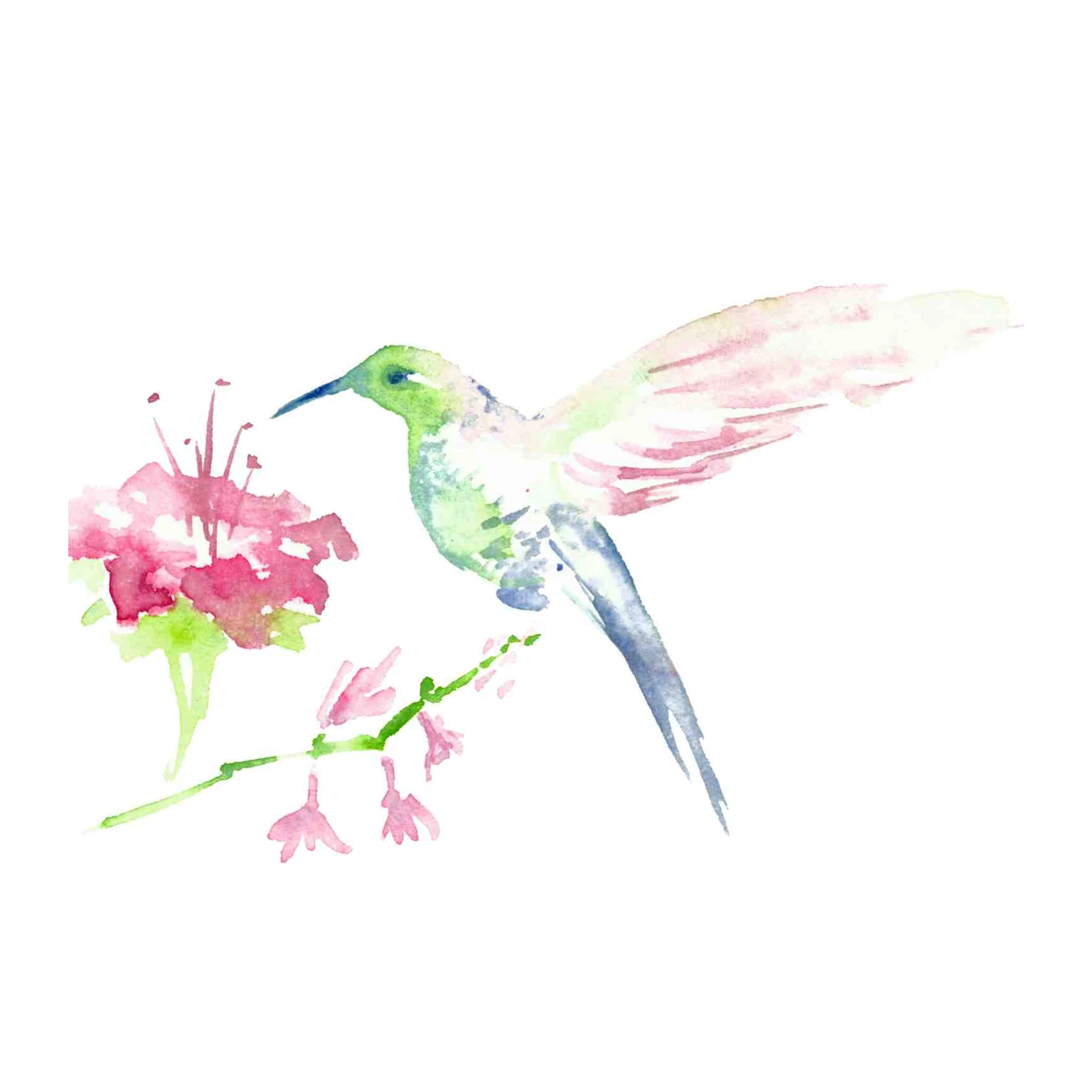 Delicate Hummingbird & Flower Watercolor Wall Art