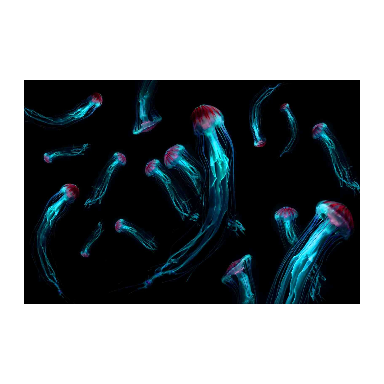 Mystic Jellyfish Bioluminescent Ocean Wall Art