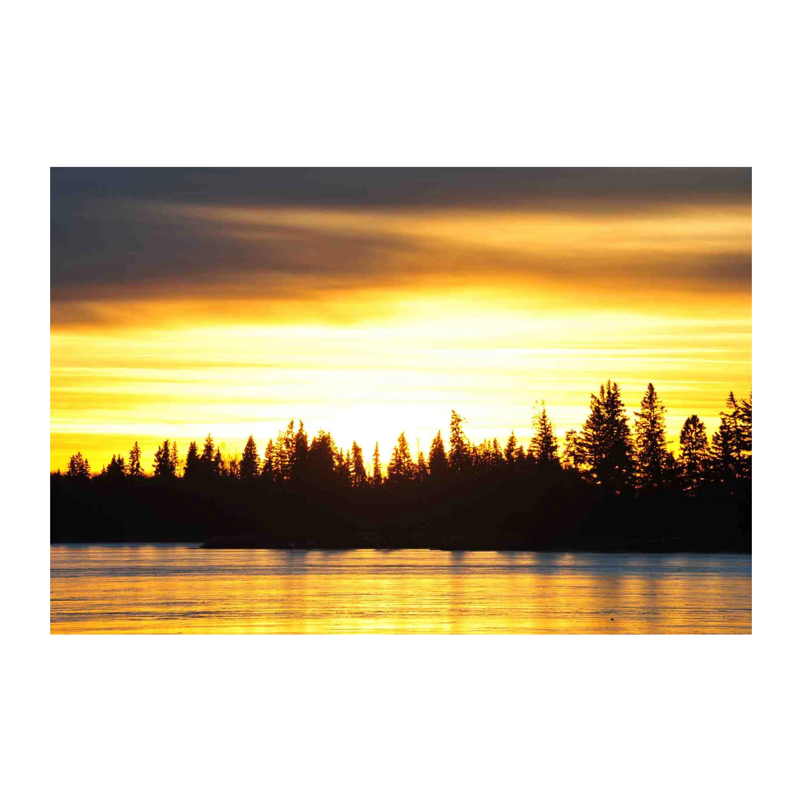 Golden Sunset Forest Lake Wall Art