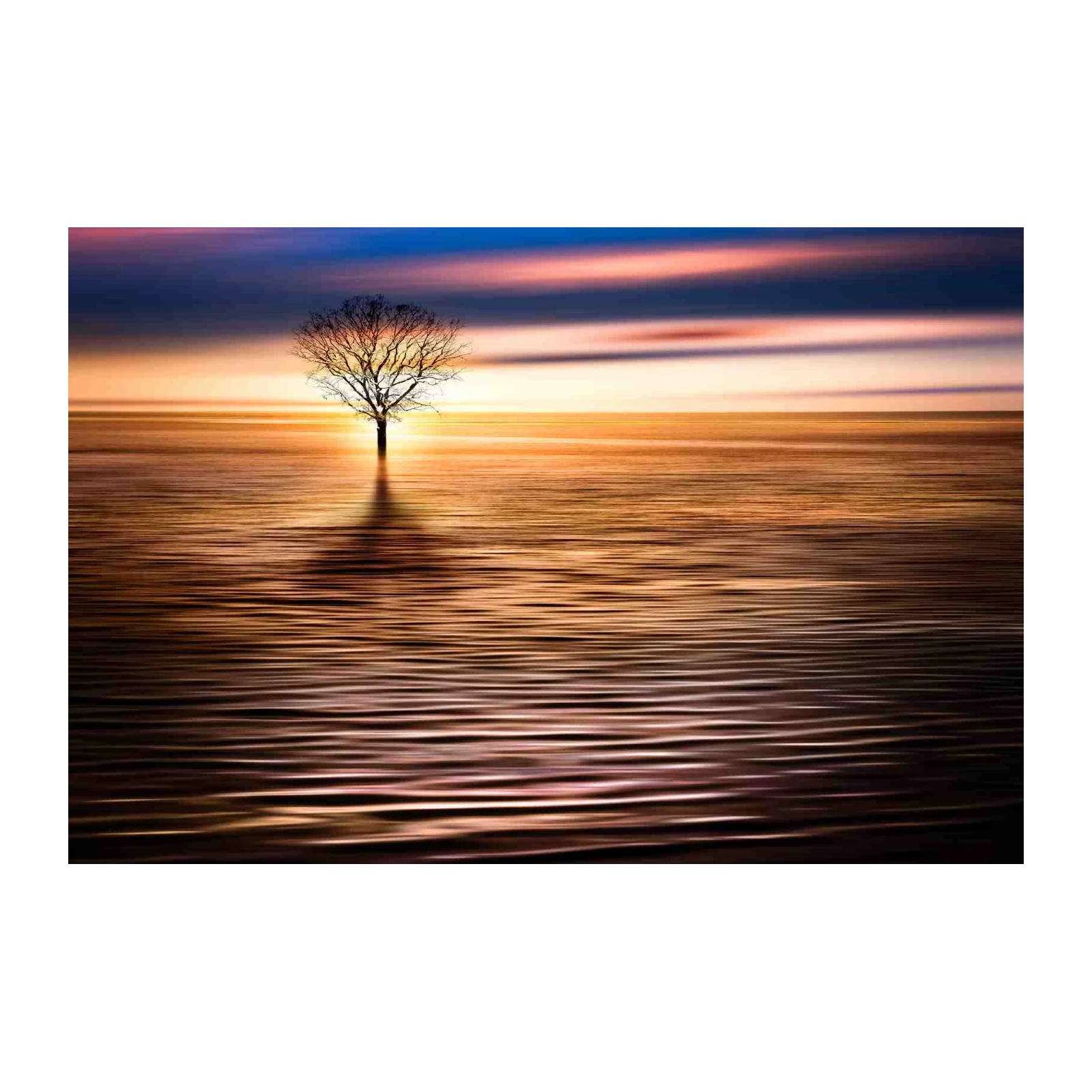 Serene Sunset Tree Wall Art