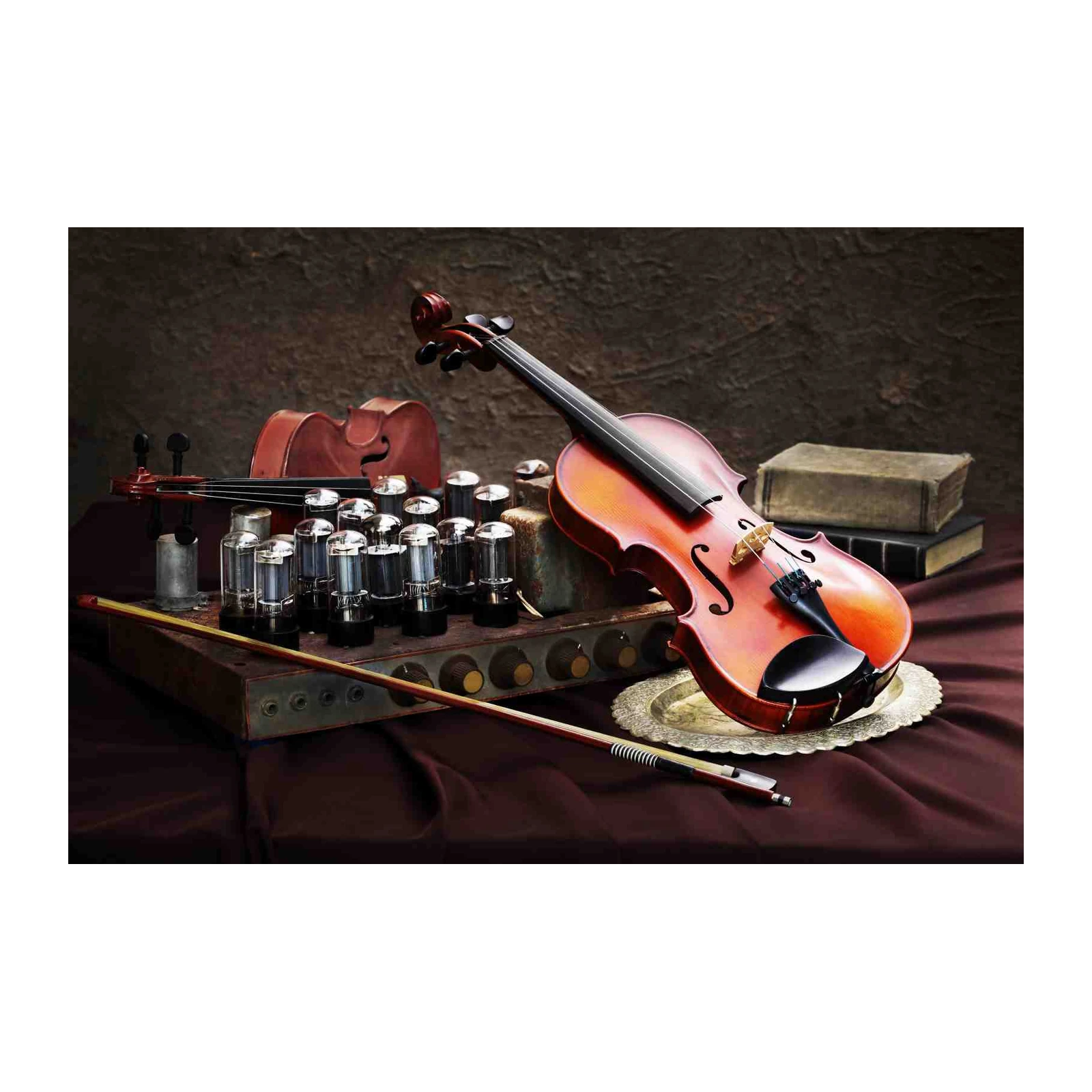 Vintage Violin & Vacuum Tubes Wall Art