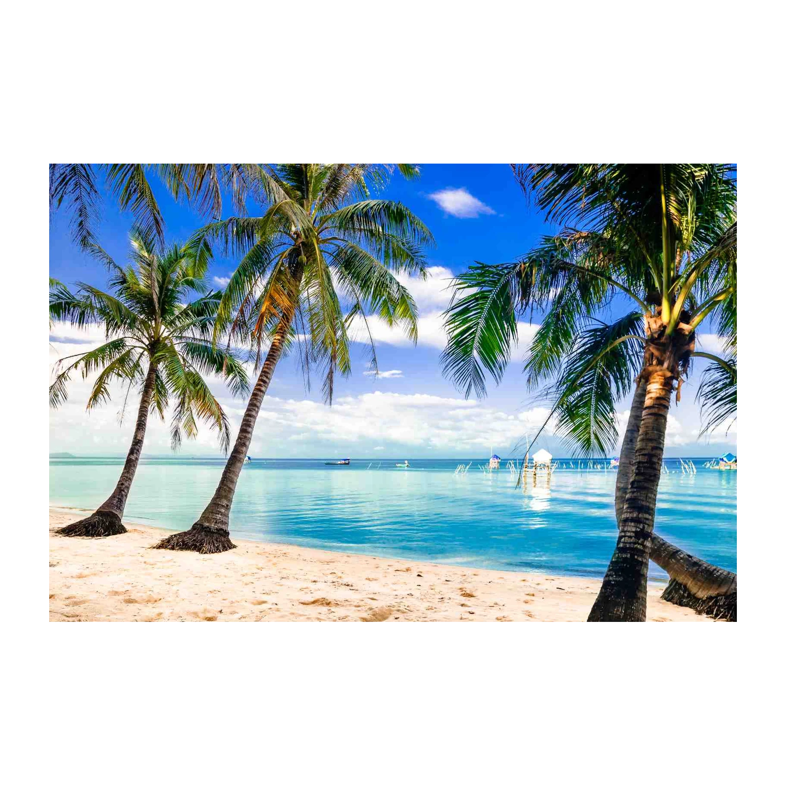 Tropical Paradise Palm Trees Beach Wall Art