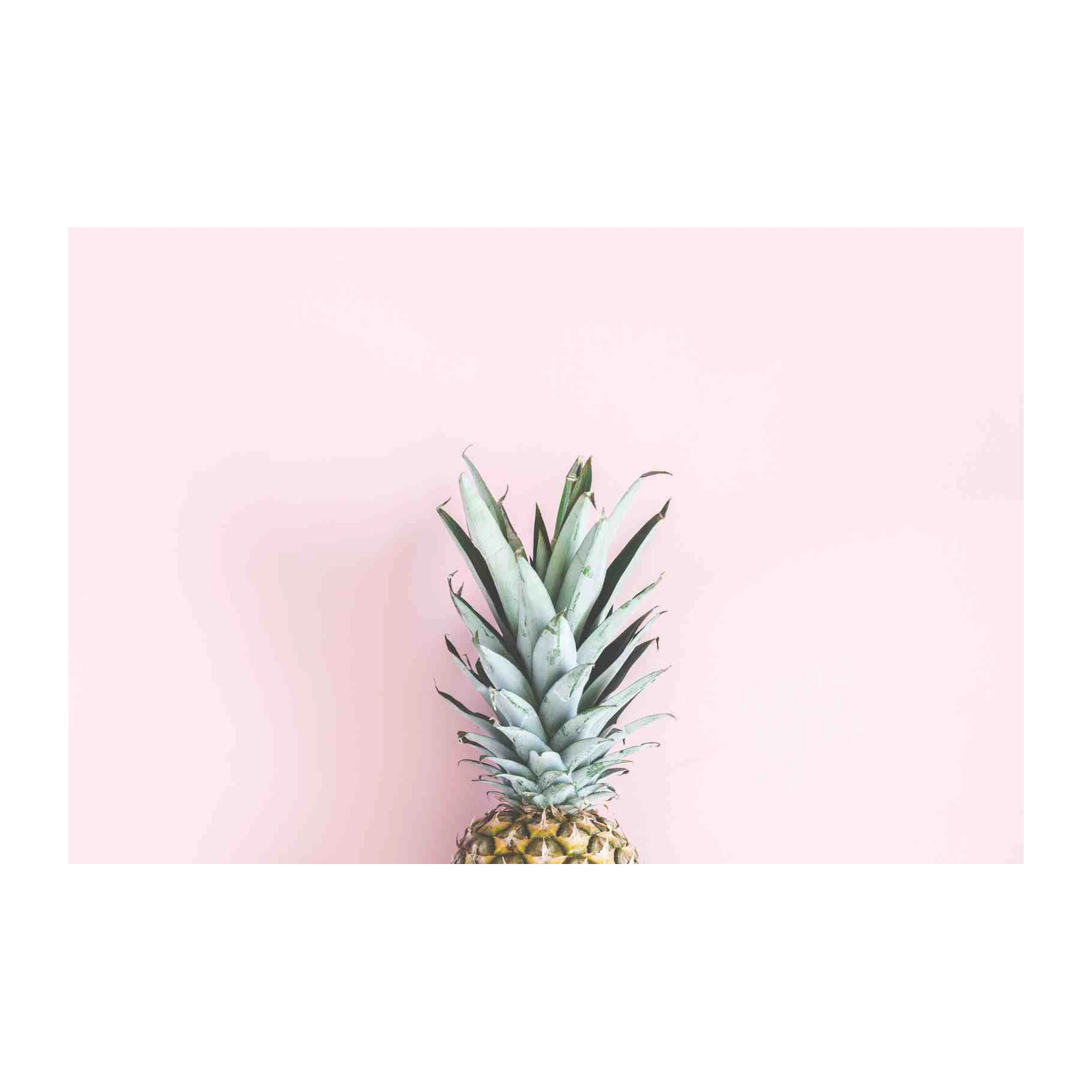 Tropical Pineapple Pop Art Wall Art
