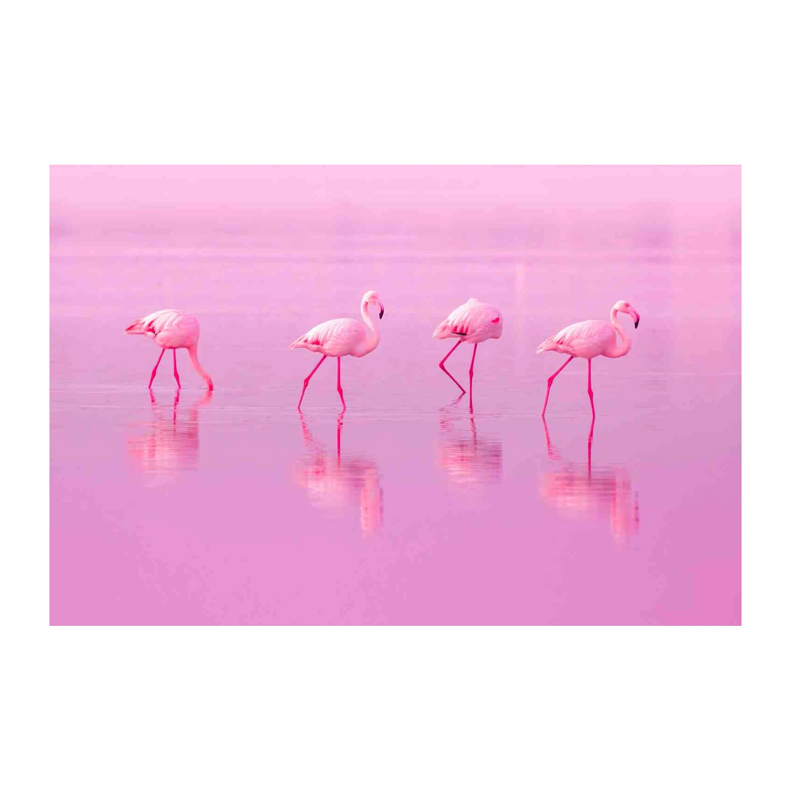 Serene Flamingo Flock Pink Lake Wall Art