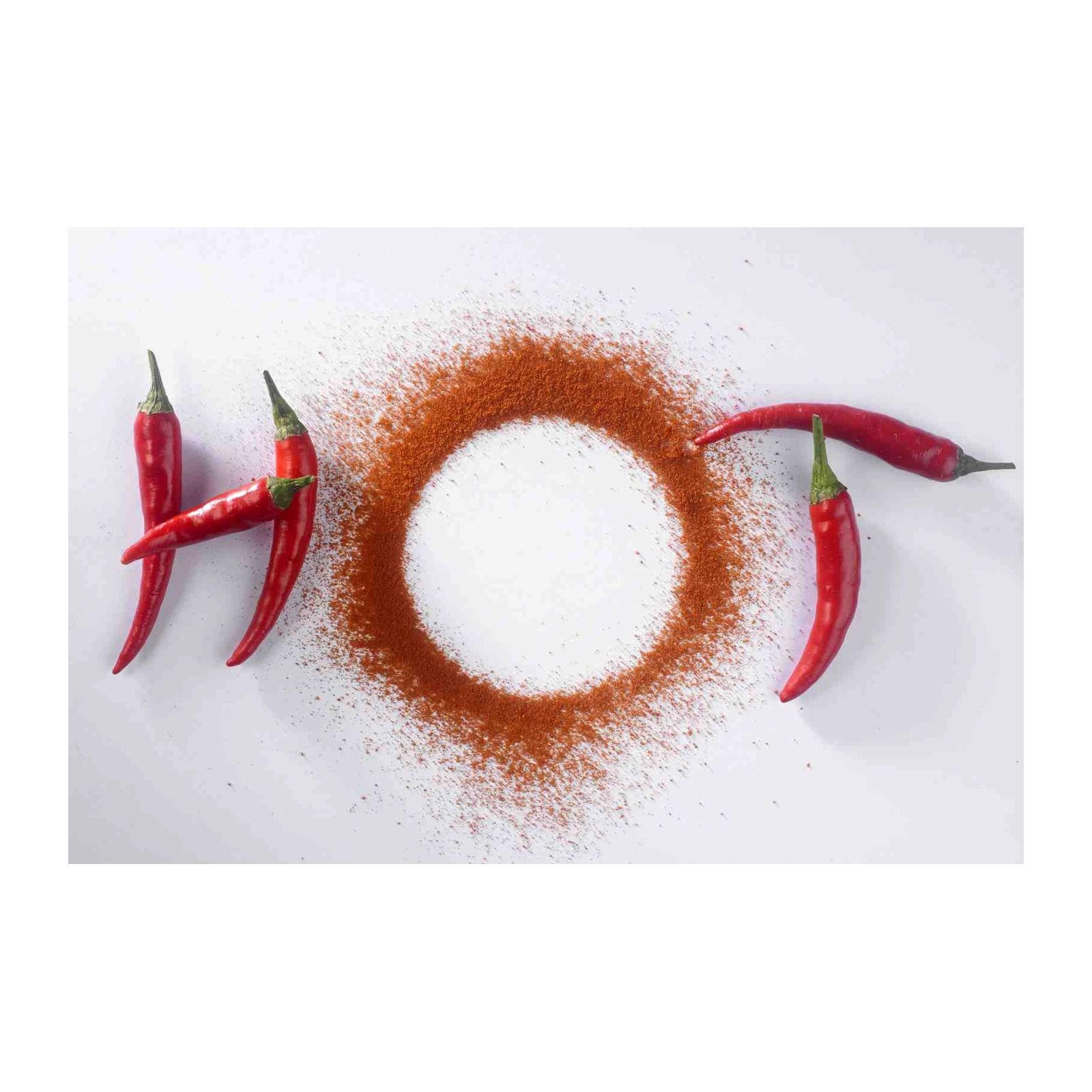Spicy Red Chili "HOT" Word Art Wall Art