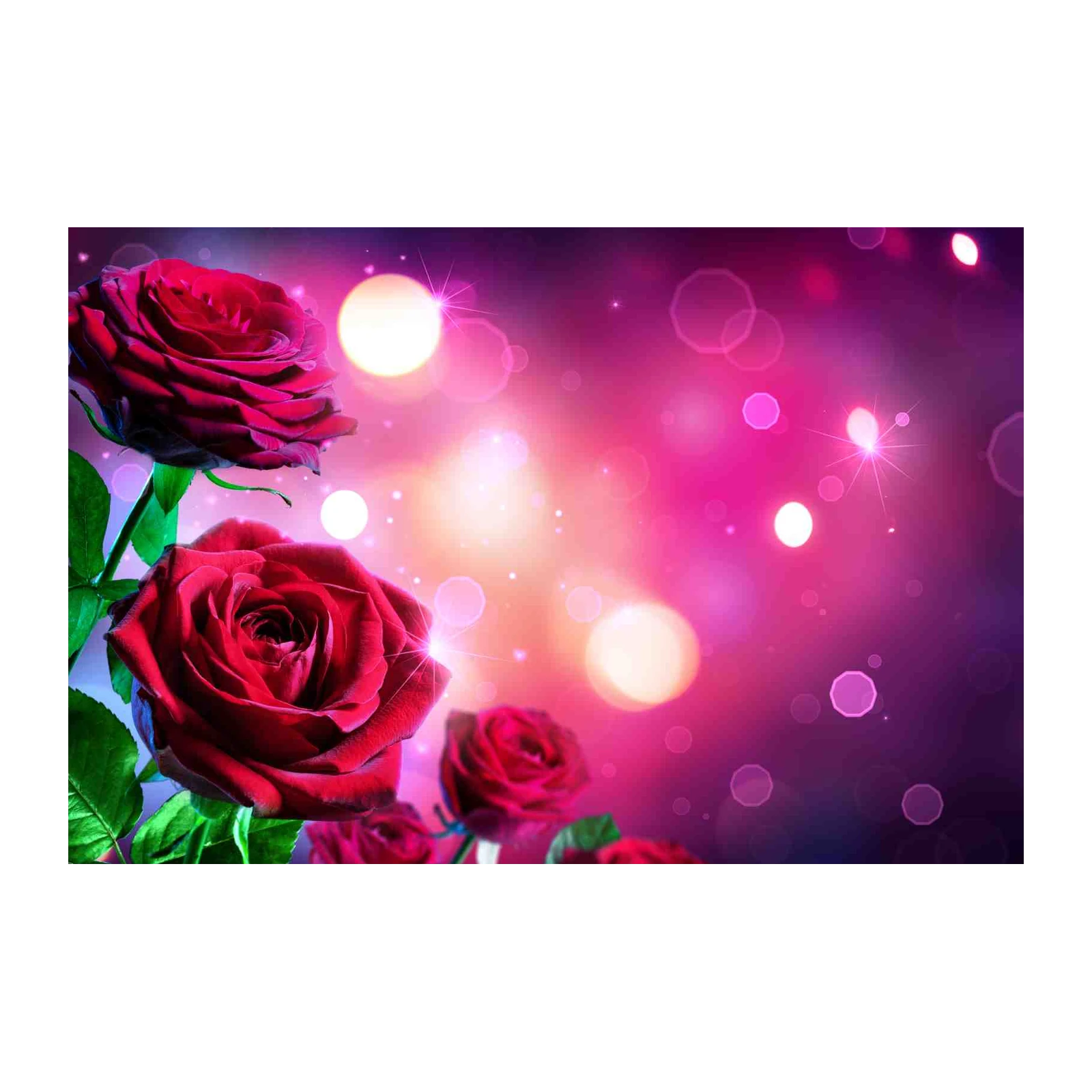 Velvet Roses Romantic Glow Wall Art