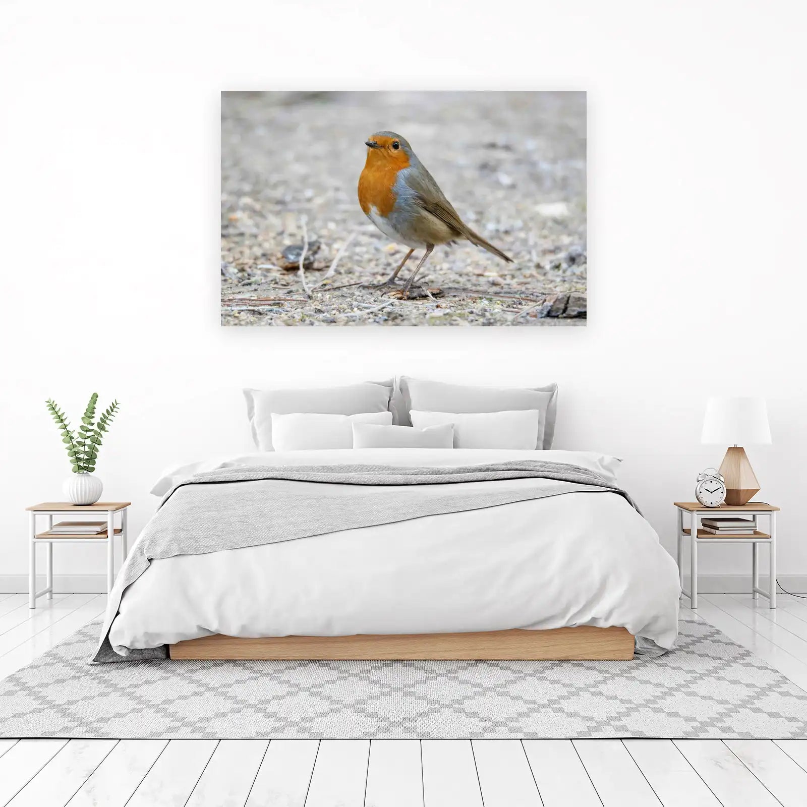 Charming Robin on Ground Wall Art