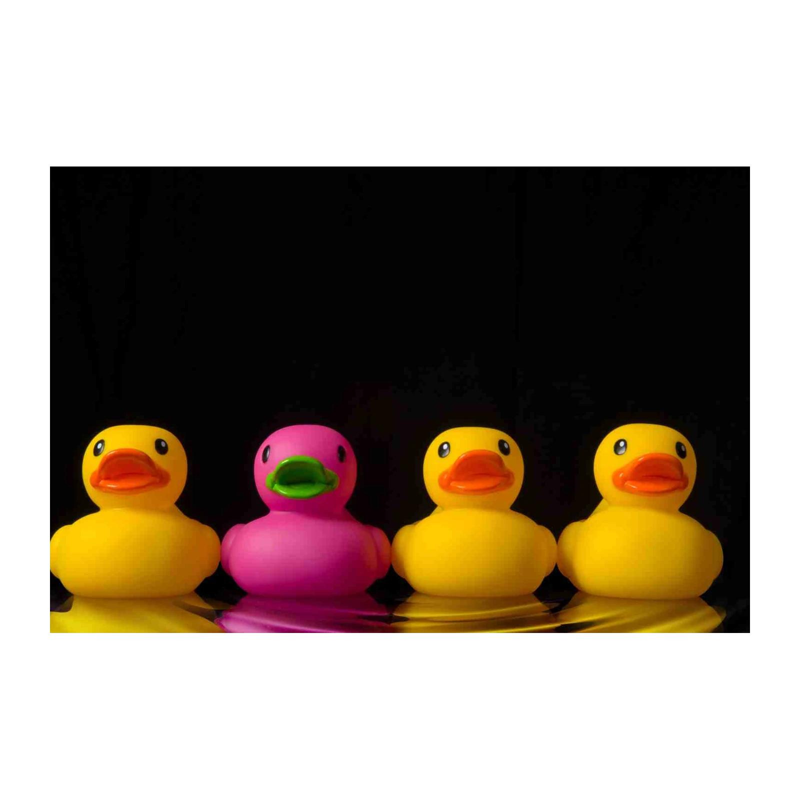 Quirky Rubber Duck Gang Wall Art