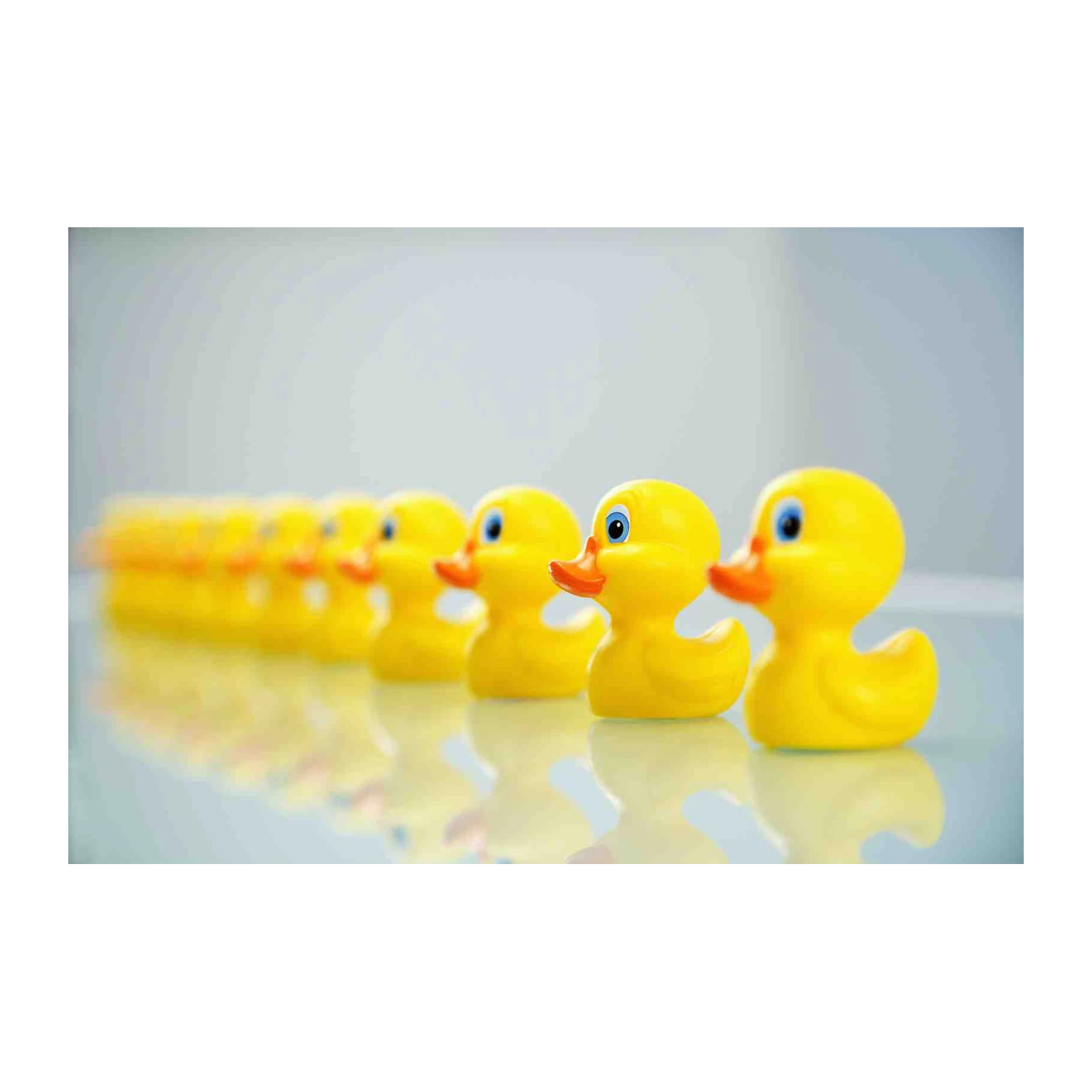 Playful Yellow Duckling Line Wall Art