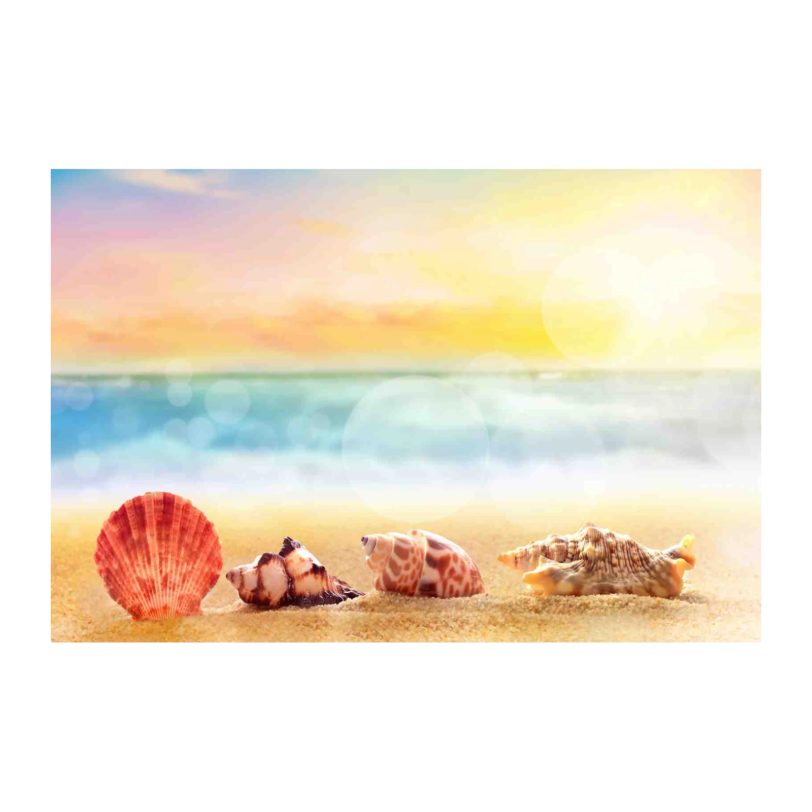 Seashell Beach Serenity Wall Art