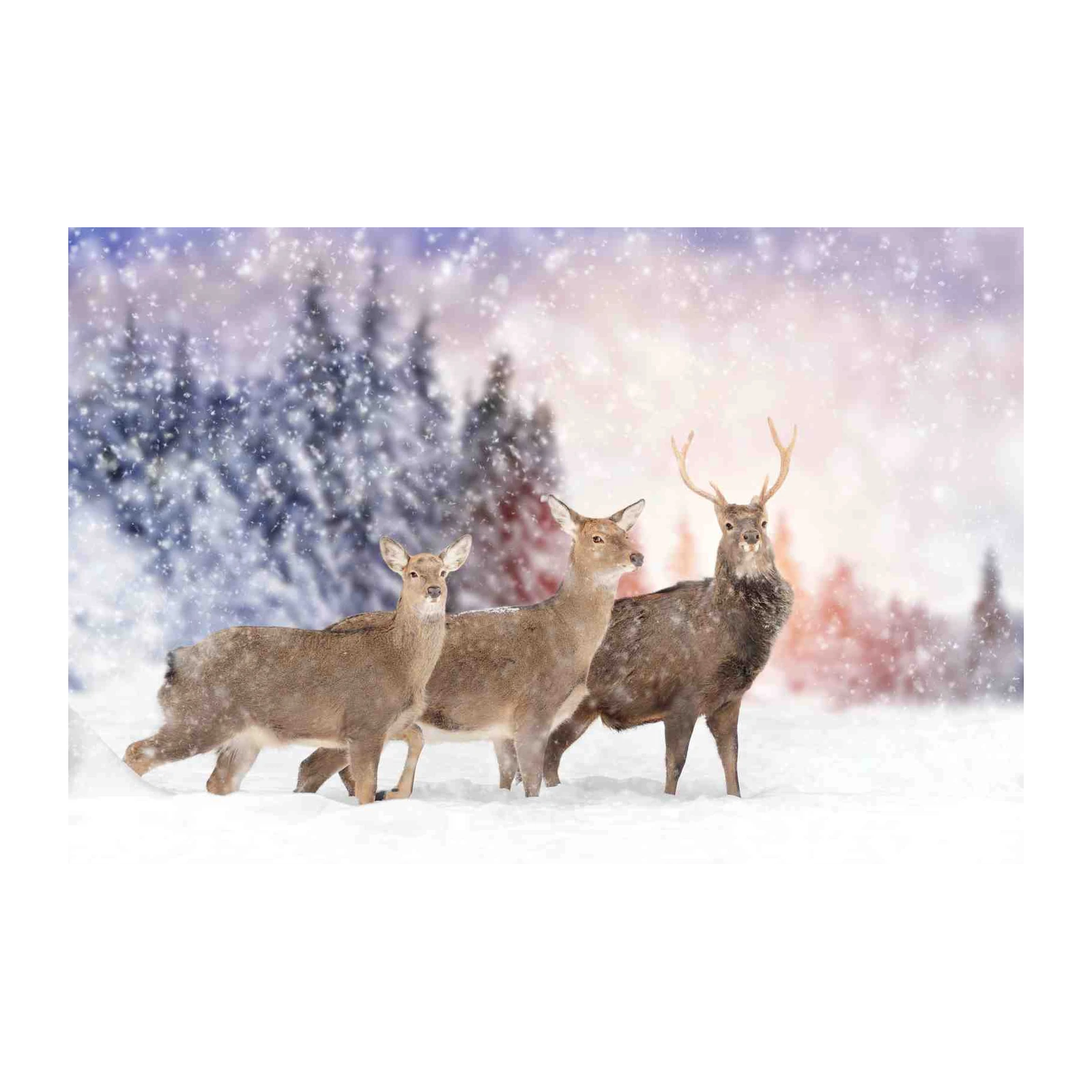 Majestic Winter Deer Family Wall Art