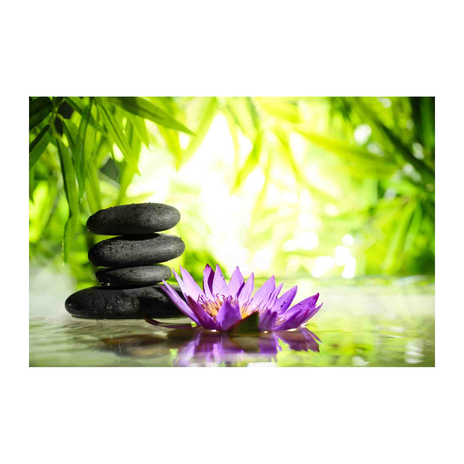 Zen Lotus & Stones Serenity Wall Art