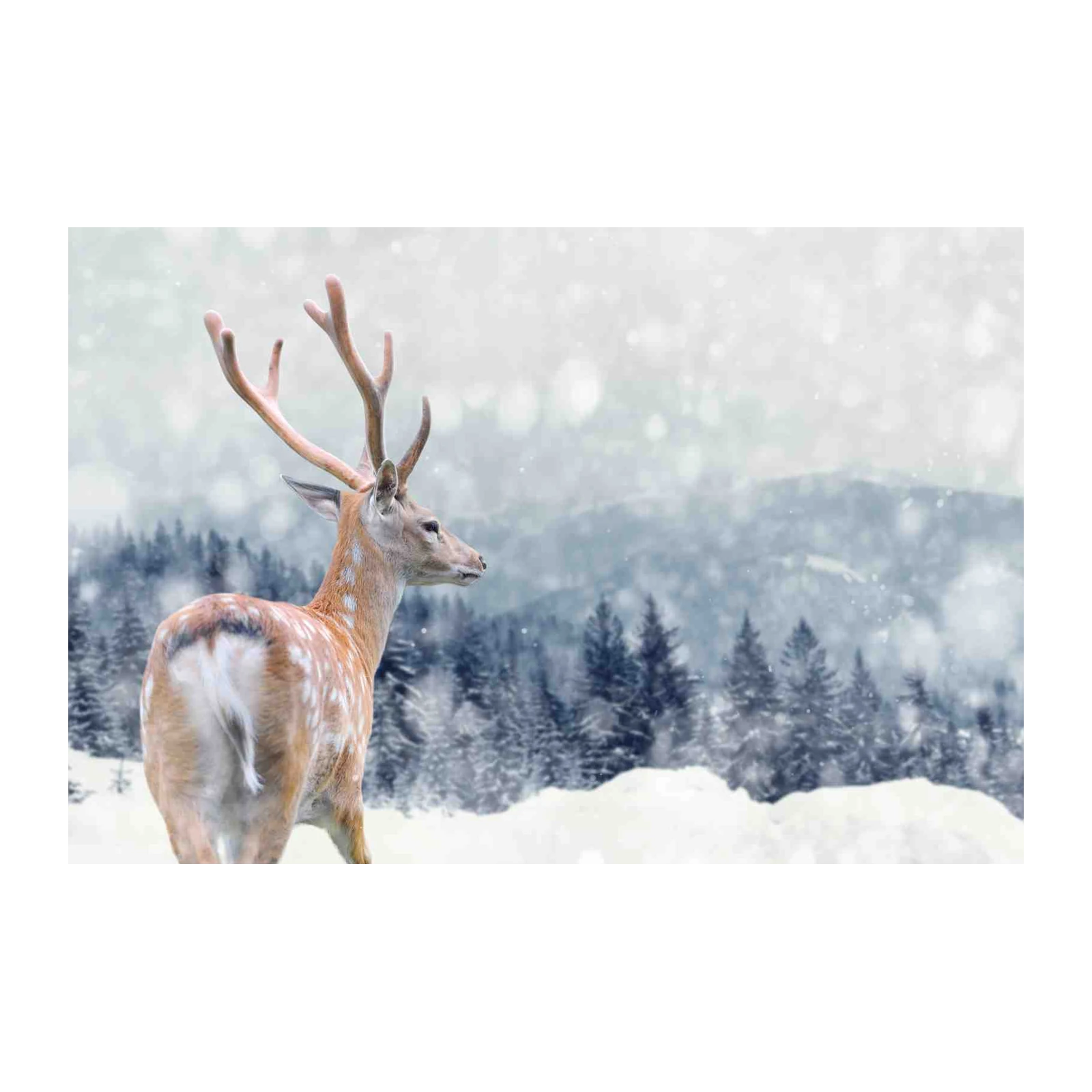 Majestic Deer Snowy Landscape Wall Art