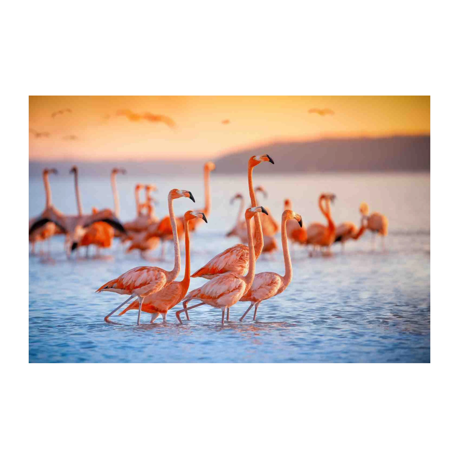 Flamingo Flock Sunset Beach Wall Art