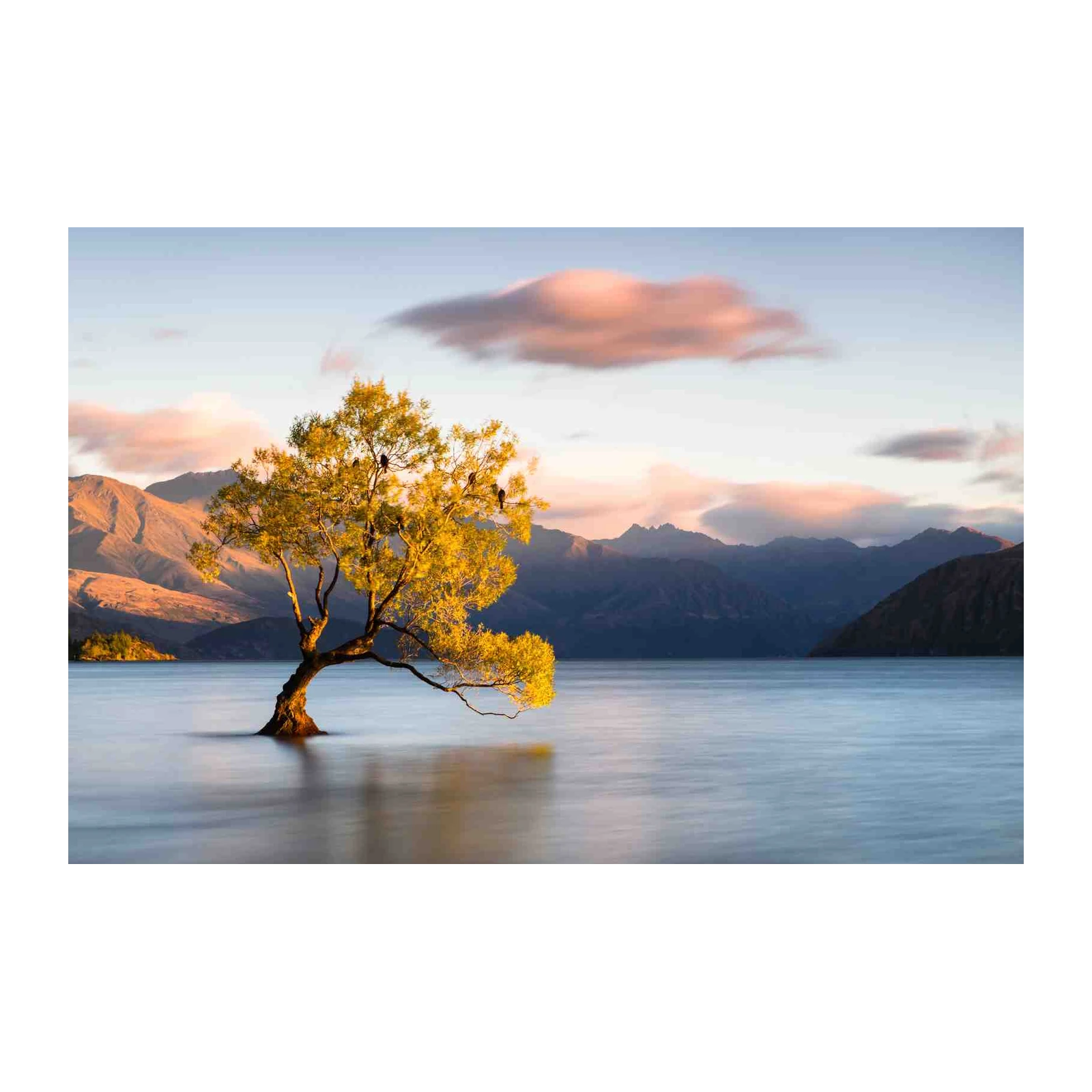 Serene Lake Tree Landscape Wall Art
