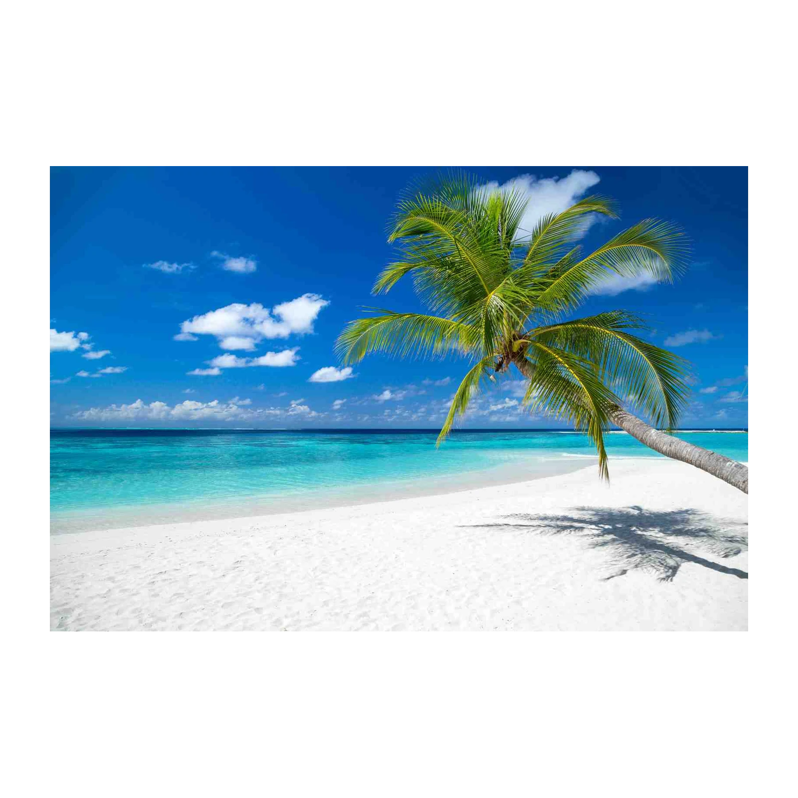 Tropical Paradise Palm Wall Art