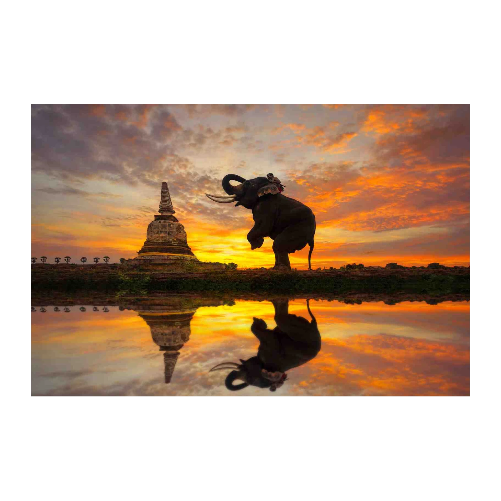 Majestic Elephant Thailand Sunset Wall Art