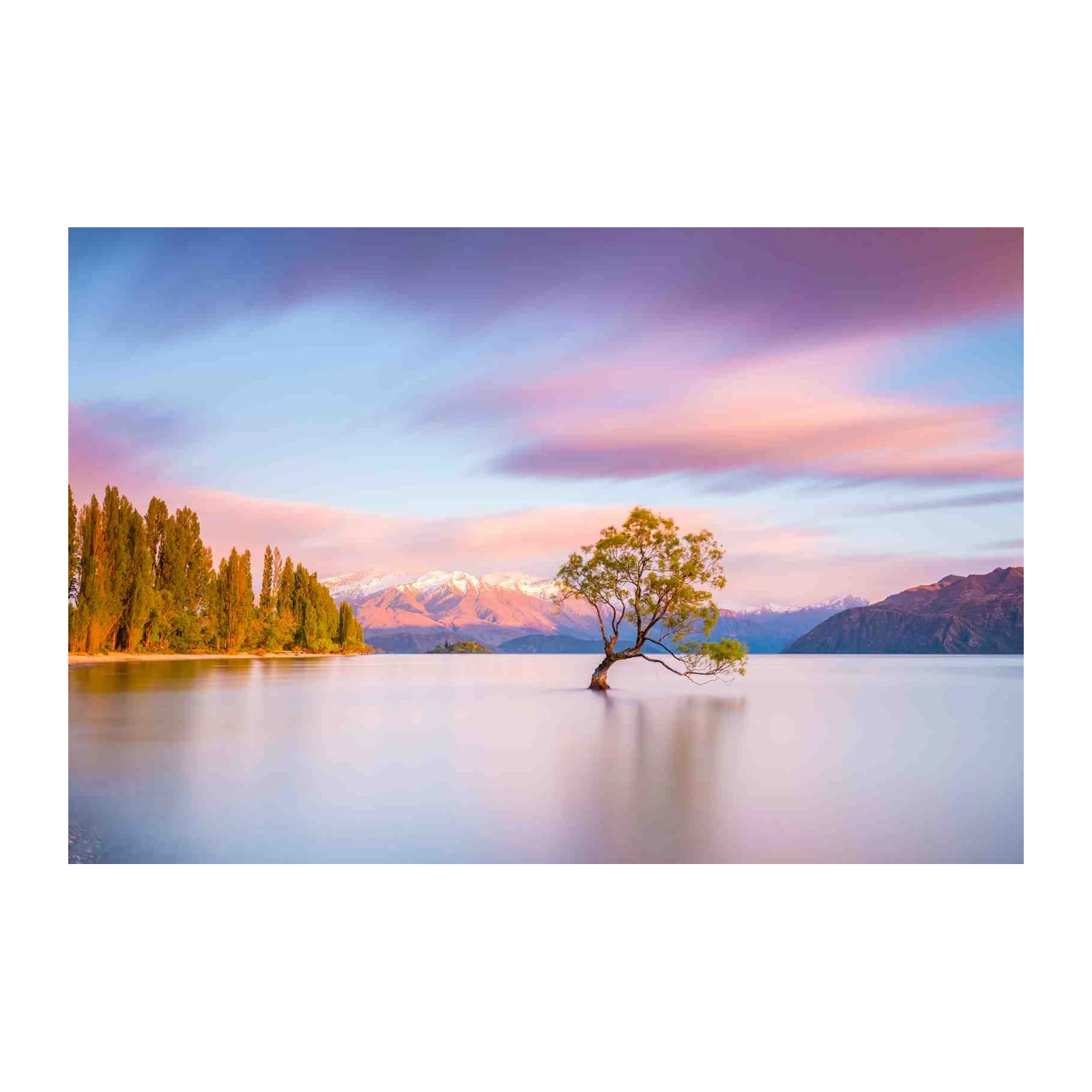 Serene Lakefront Tree Wall Art