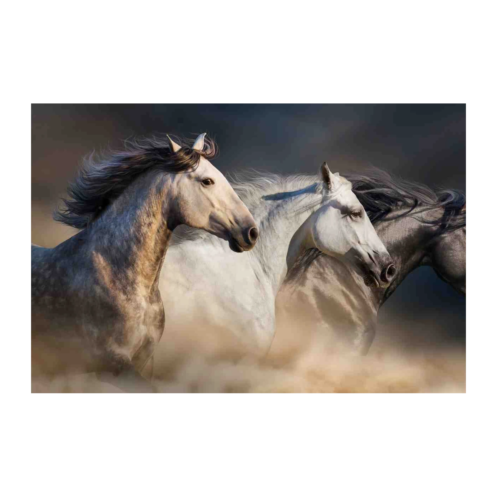 Majestic Trio Horse Gallop Wall Art