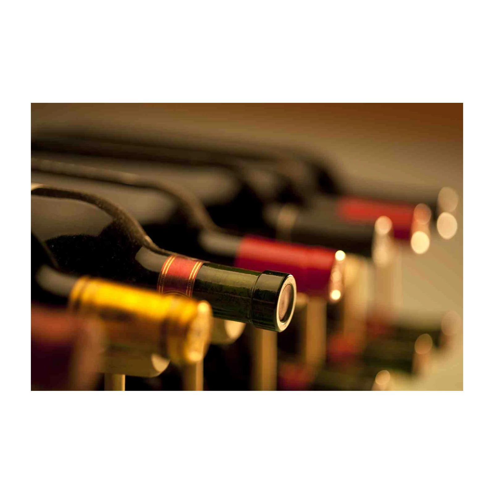 Elegant Wine Bottles Wall Art