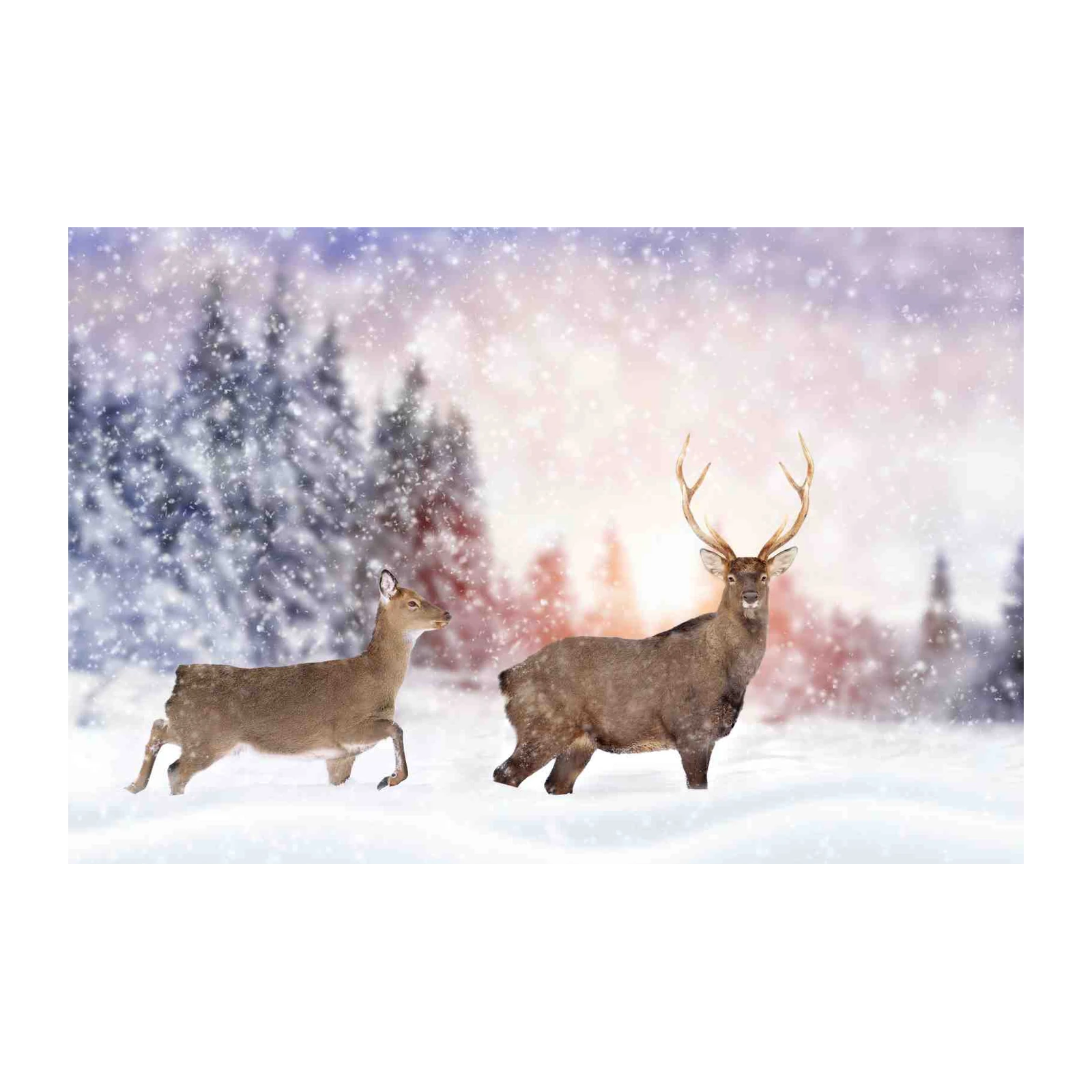 Majestic Deer Winter Scene Wall Art