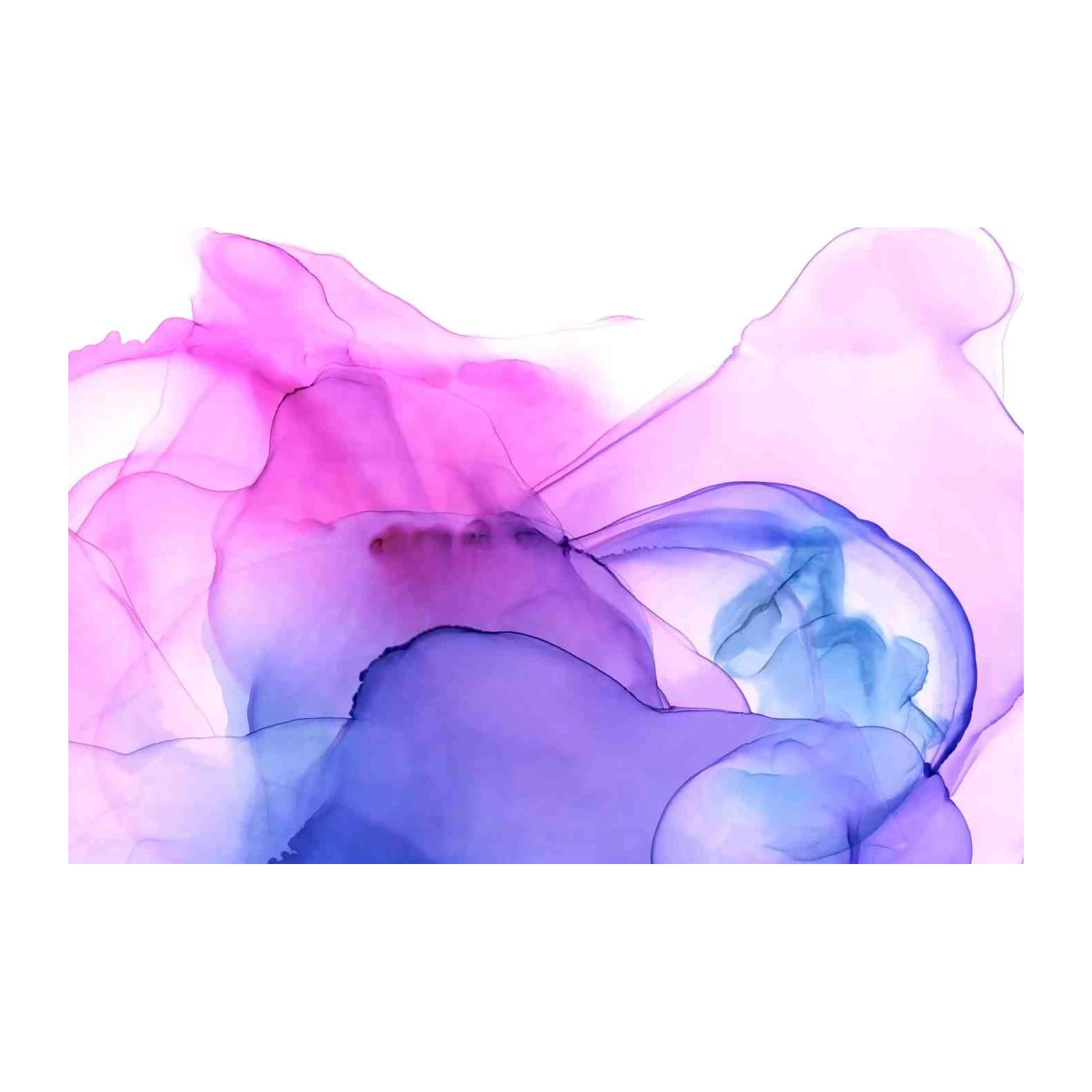 Vibrant Abstract Fluid Art Wall Art