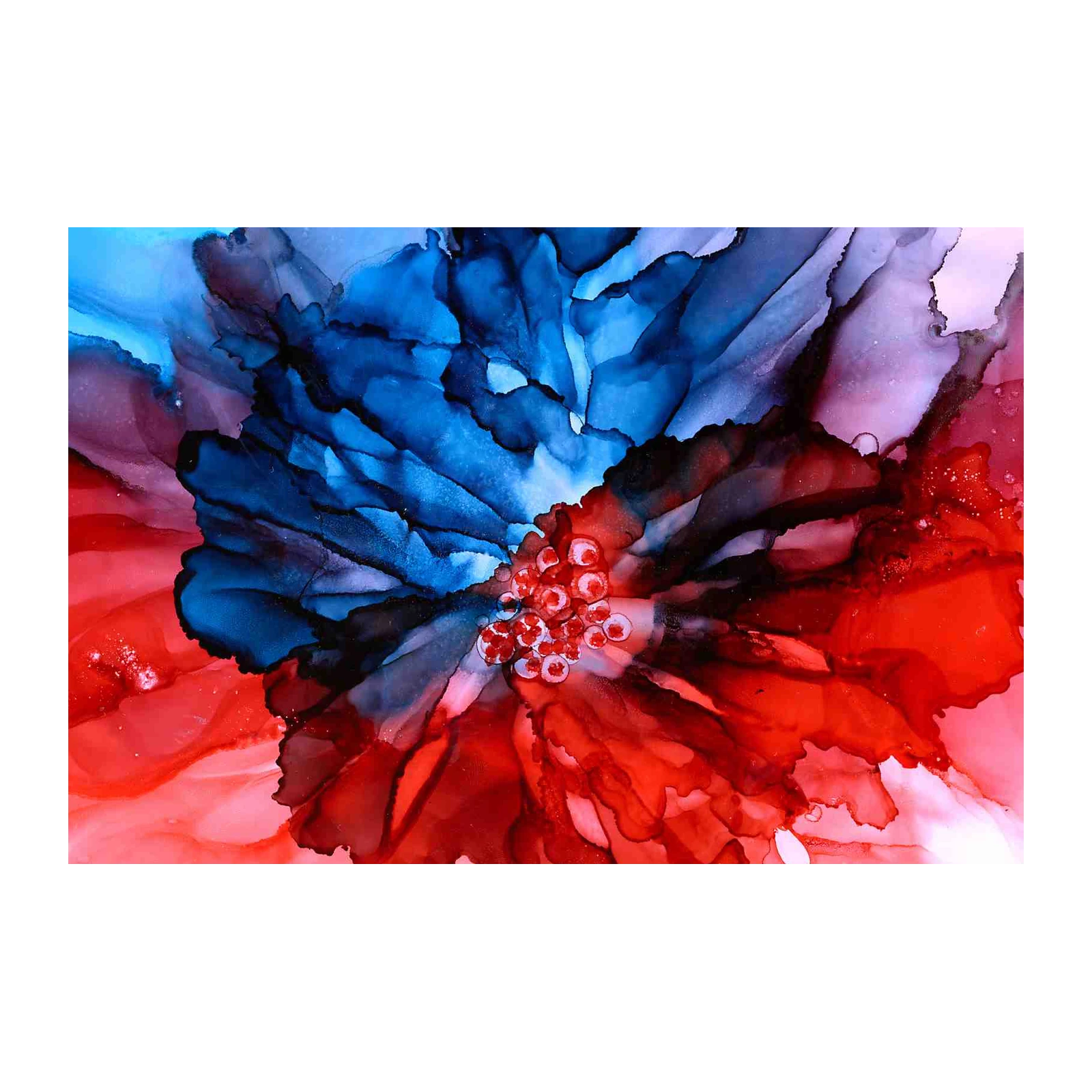 Vibrant Floral Burst Blue Red Wall Art