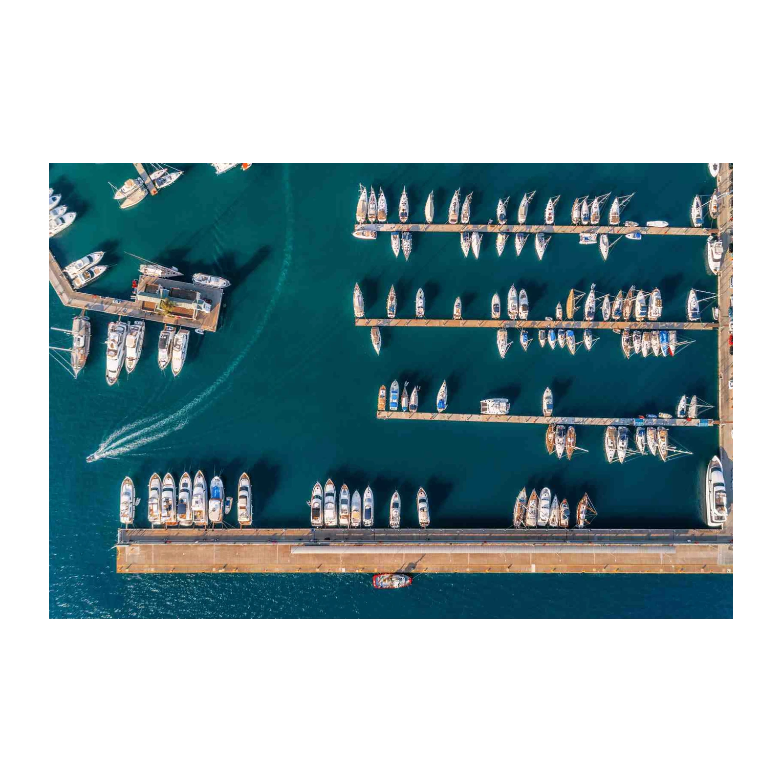 Aerial Yacht Marina Wall Art - Coastal Living